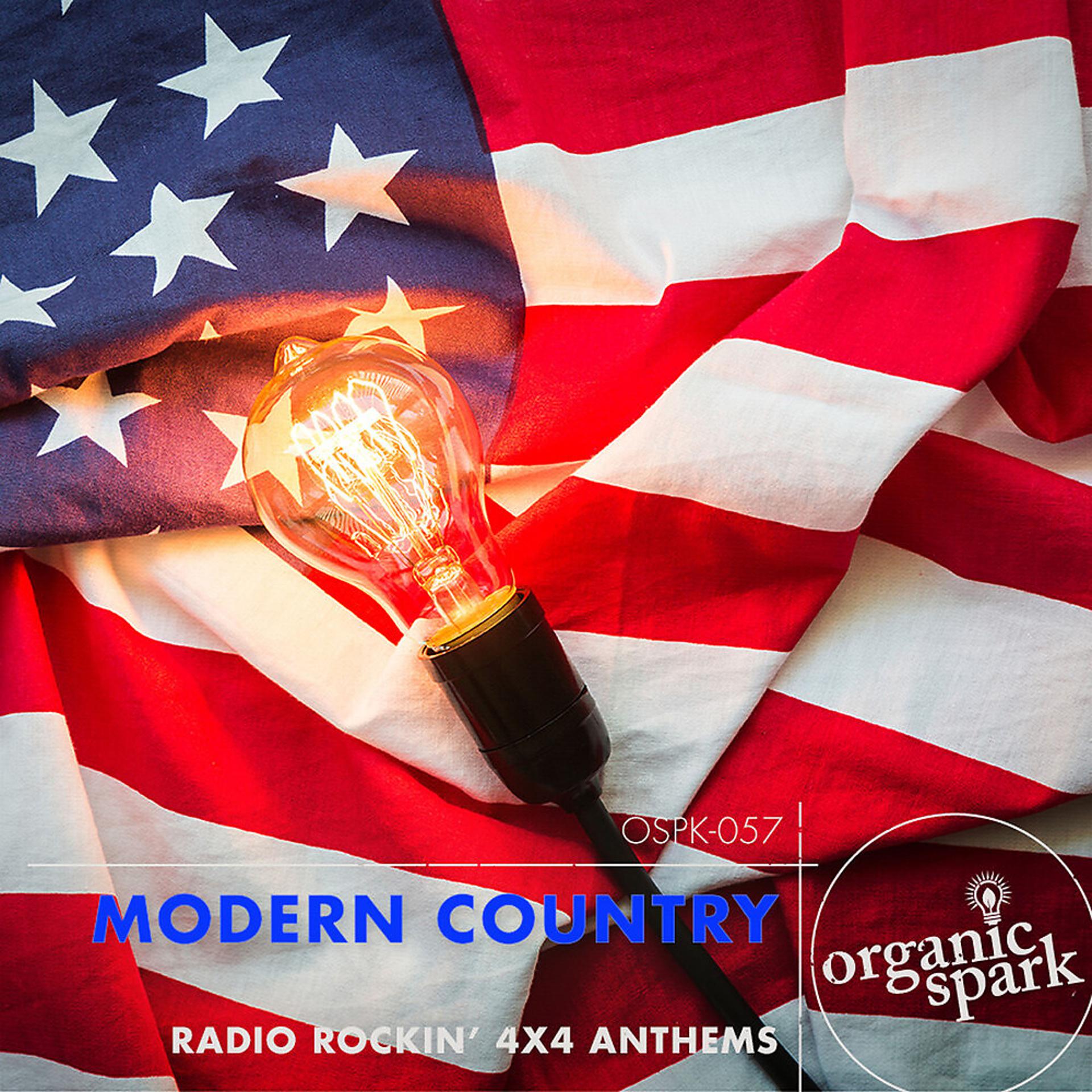 Постер альбома Modern Country