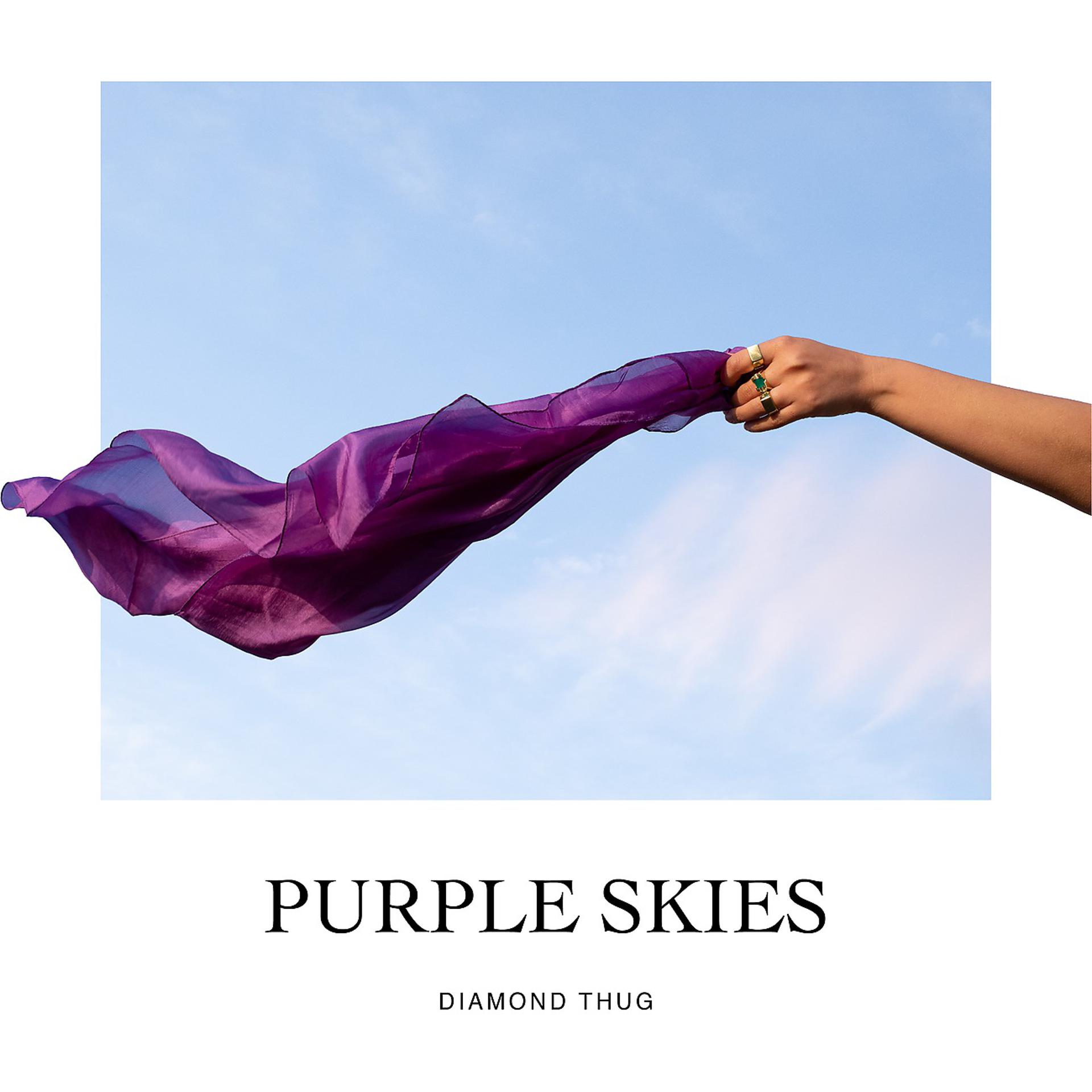 Постер альбома Purple Skies
