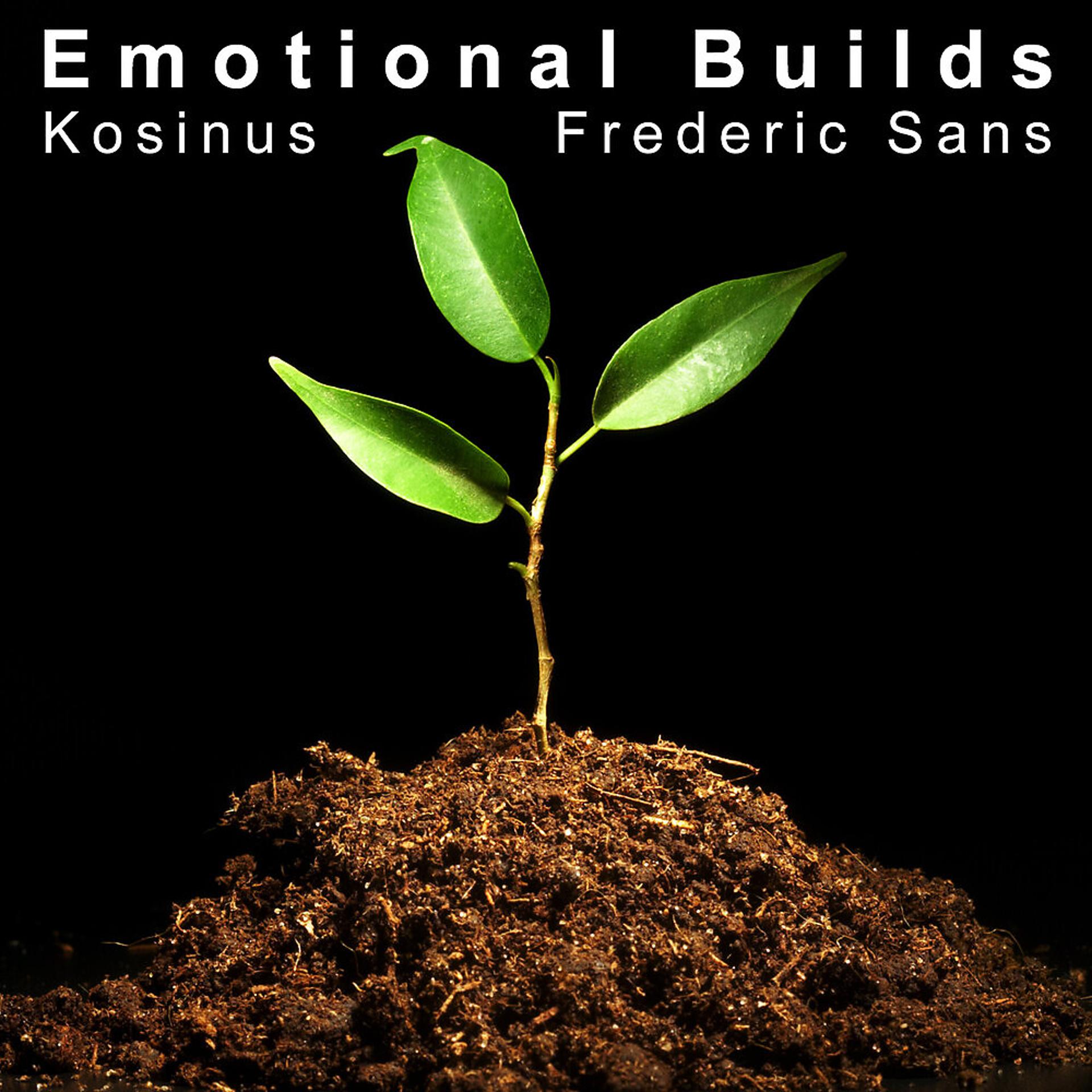 Постер альбома Emotional Builds