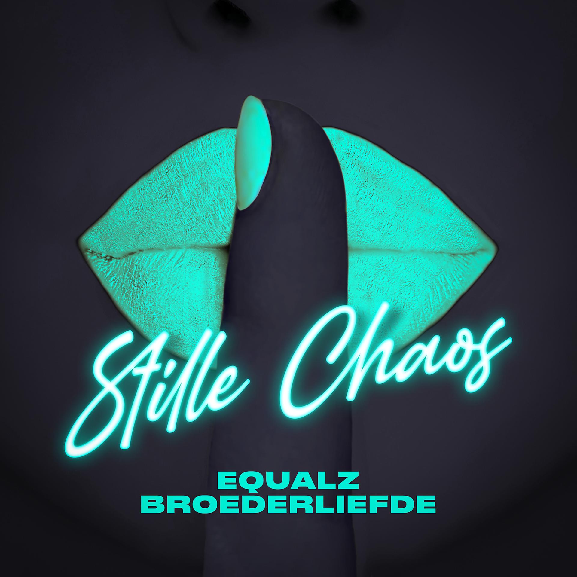 Постер альбома Stille Chaos