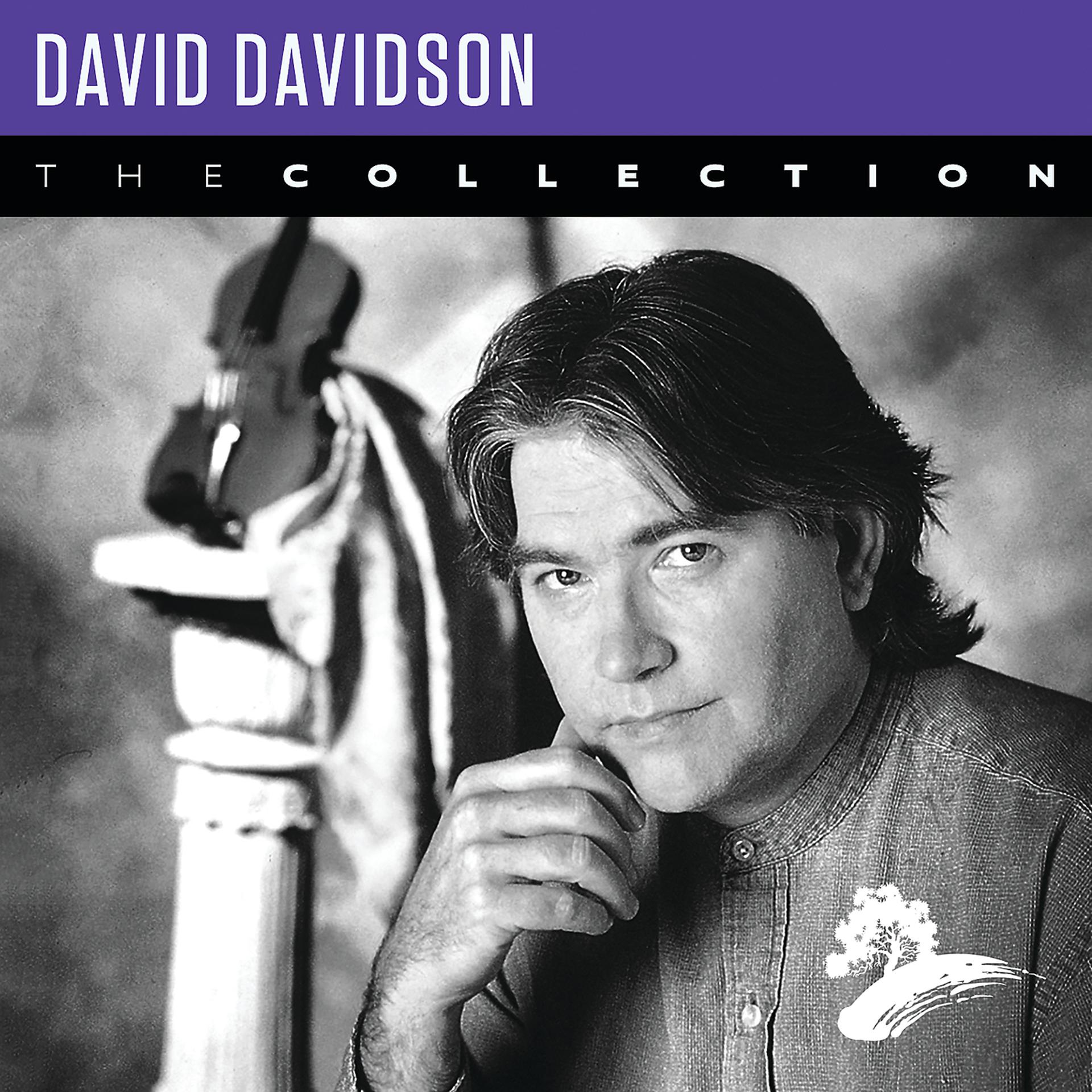 Постер альбома David Davidson: The Collection