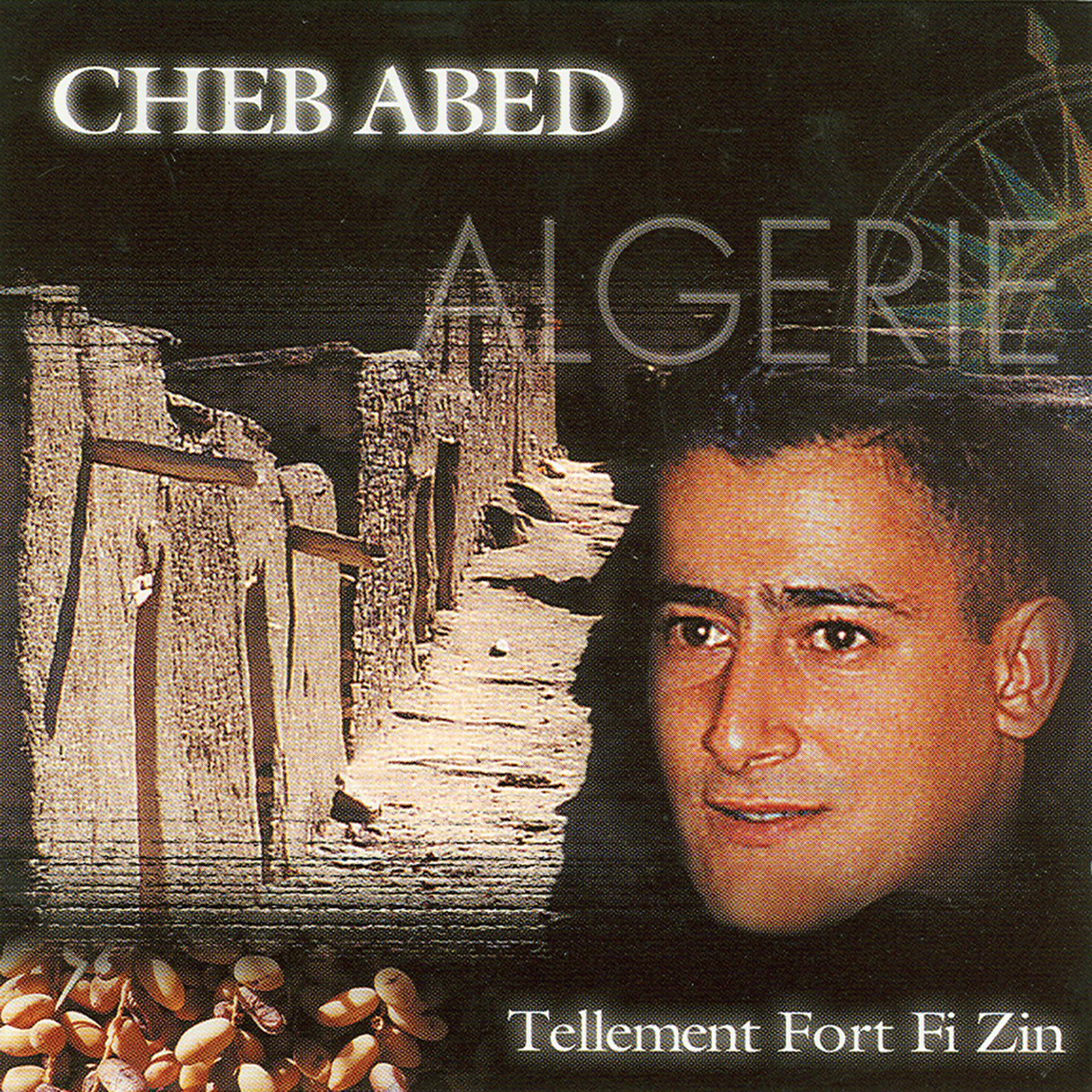 Постер альбома Tellement Fort Fi Zin - CD 1/2