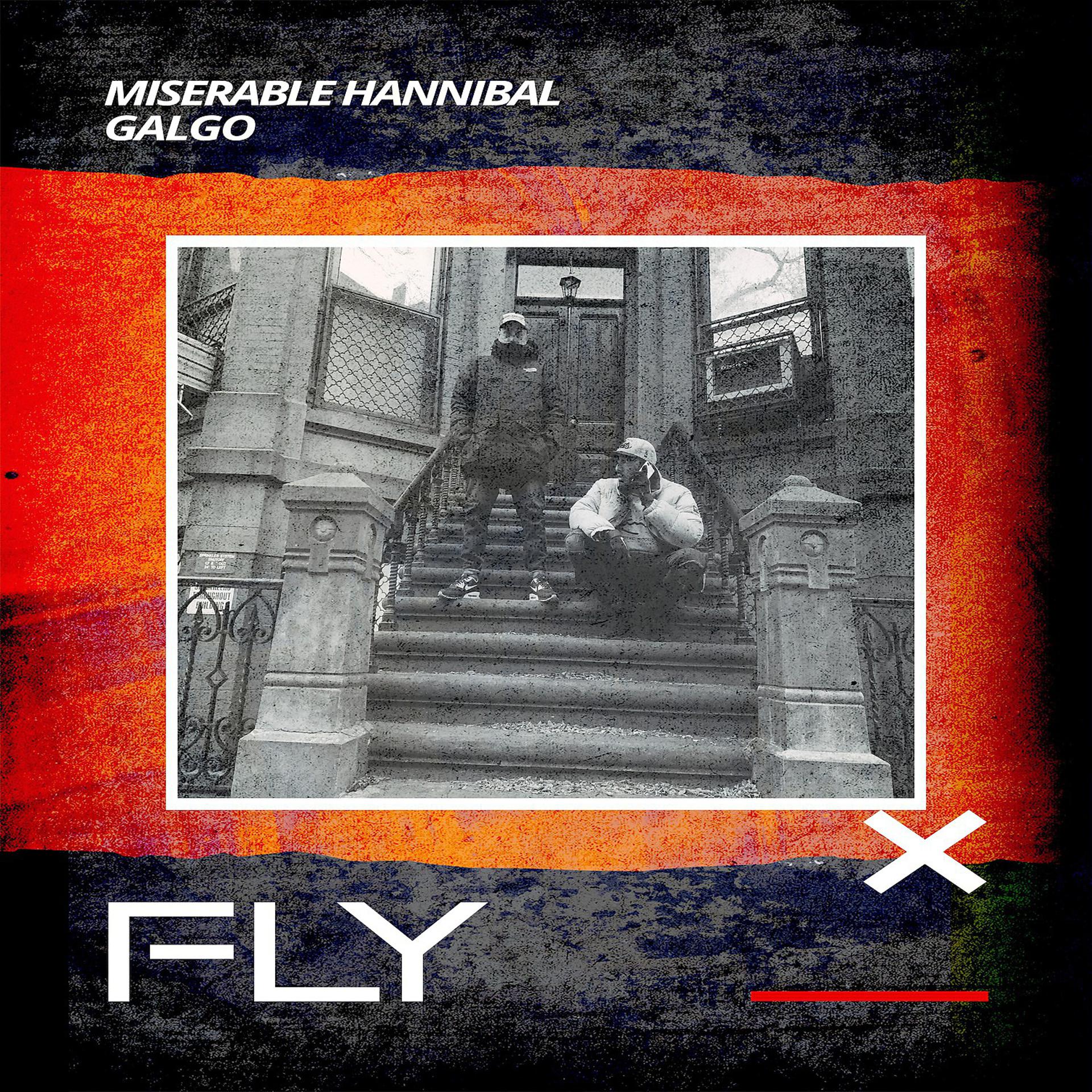 Постер альбома Fly