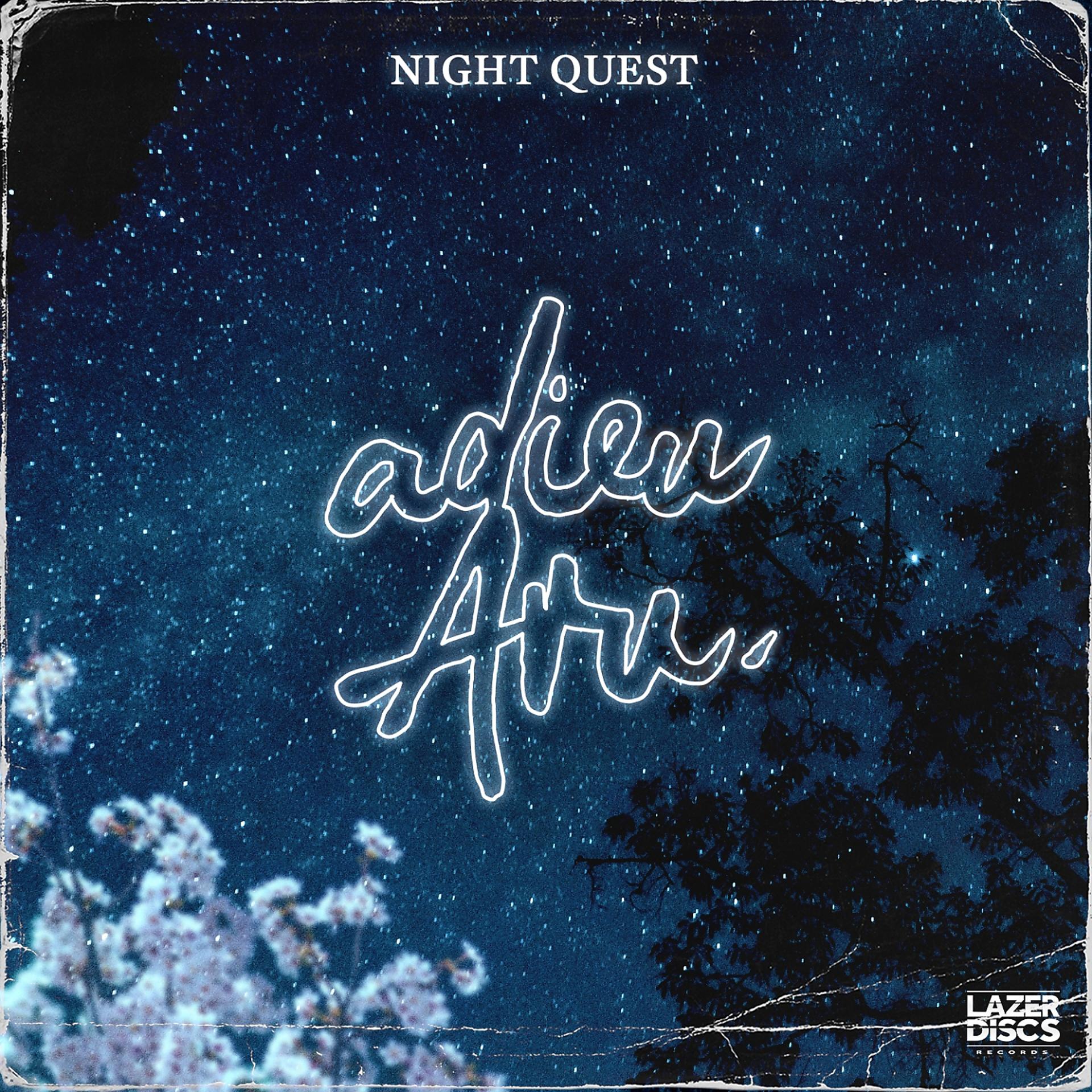 Постер альбома Night Quest
