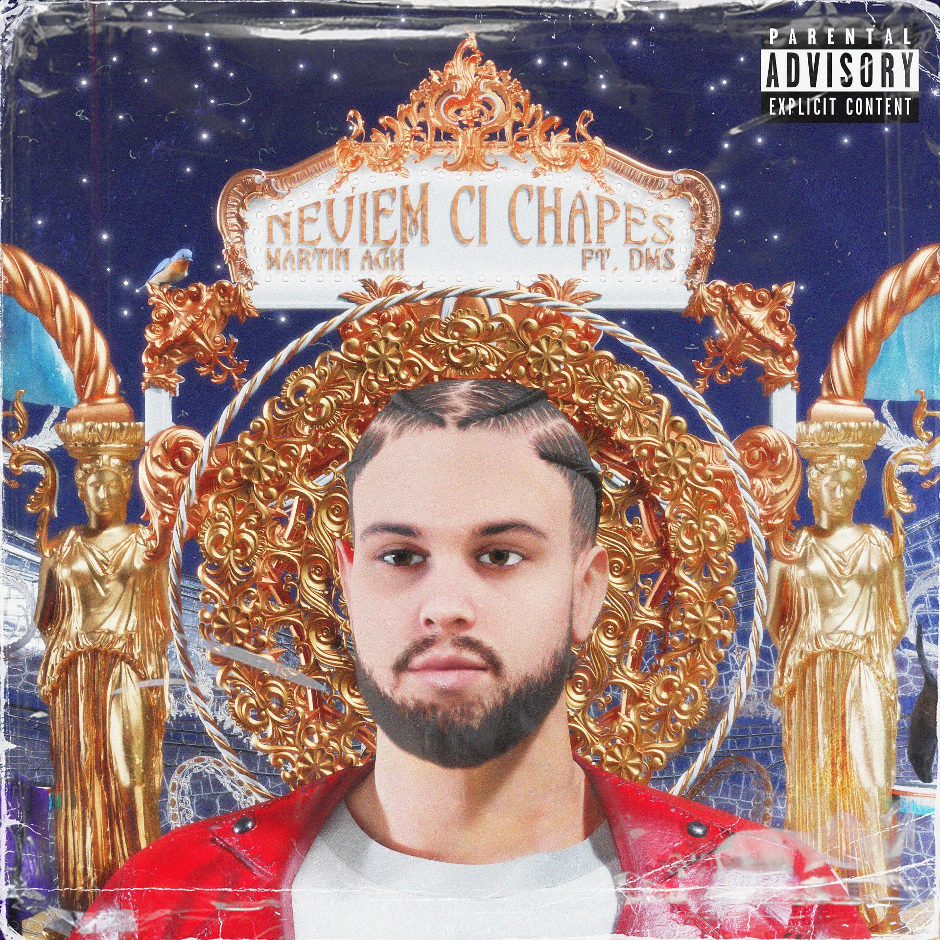 Постер альбома Neviem Ci Chapes (feat. DMS)