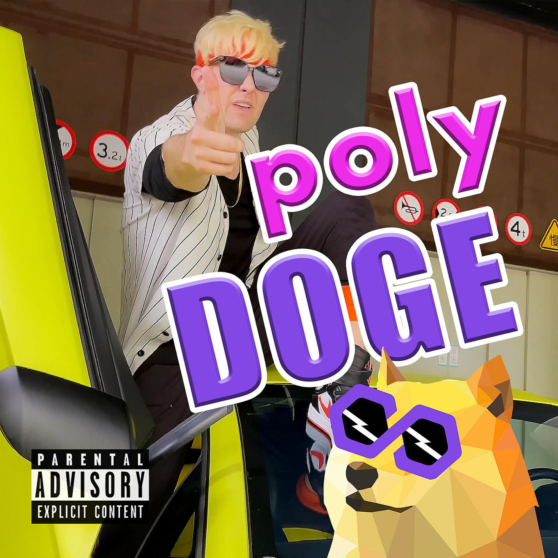 Постер альбома PolyDoge