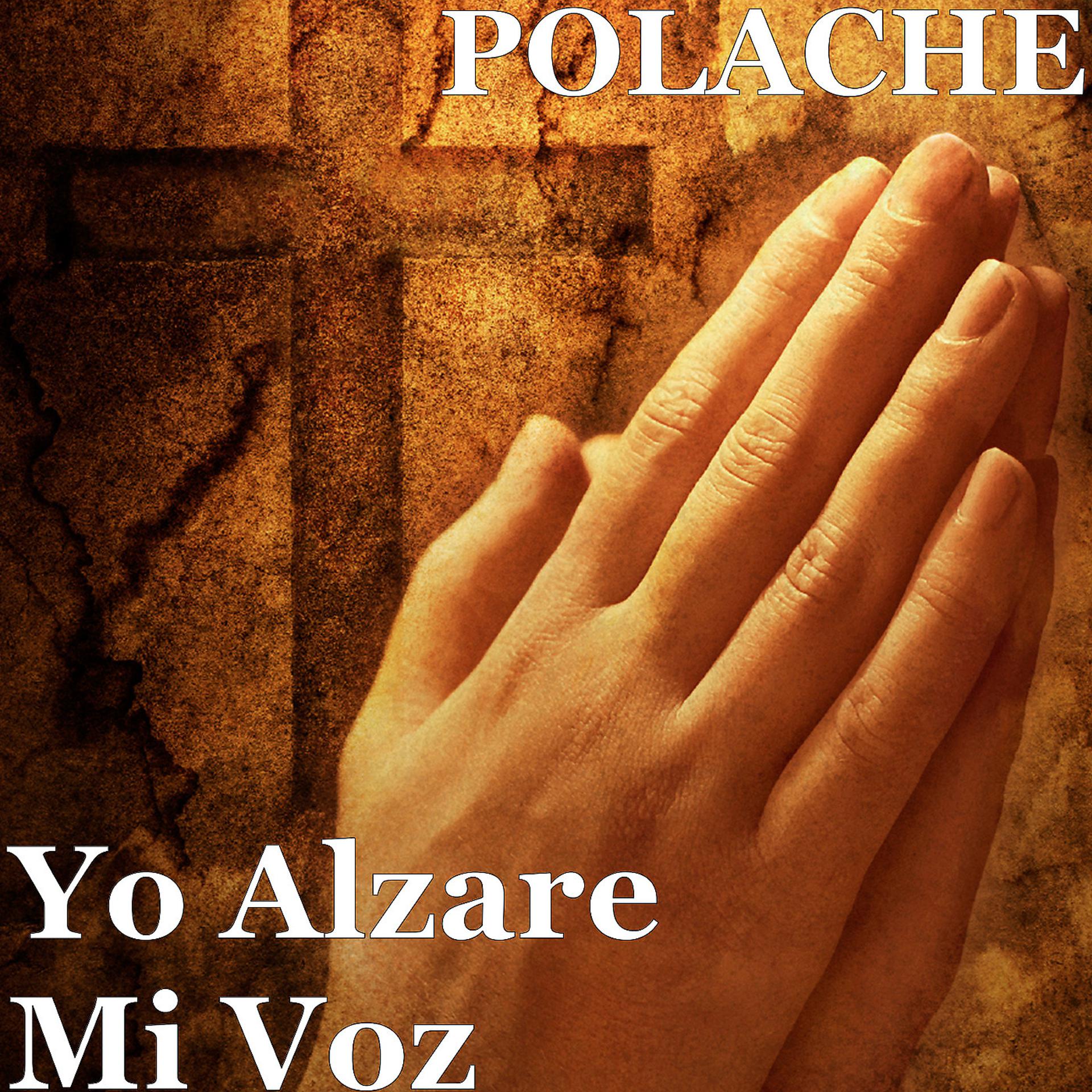 Постер альбома Yo Alzare Mi Voz