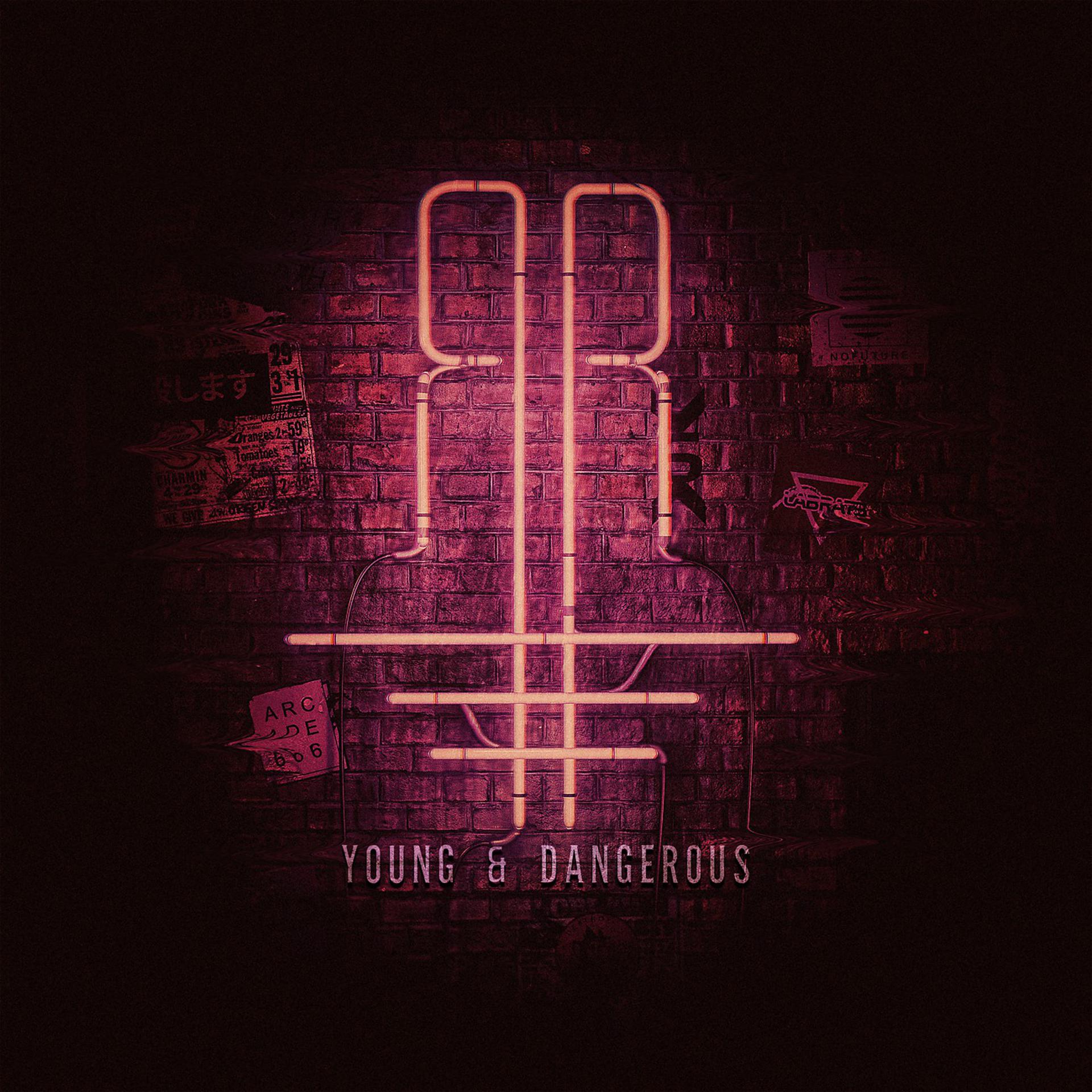 Постер альбома Young & Dangerous