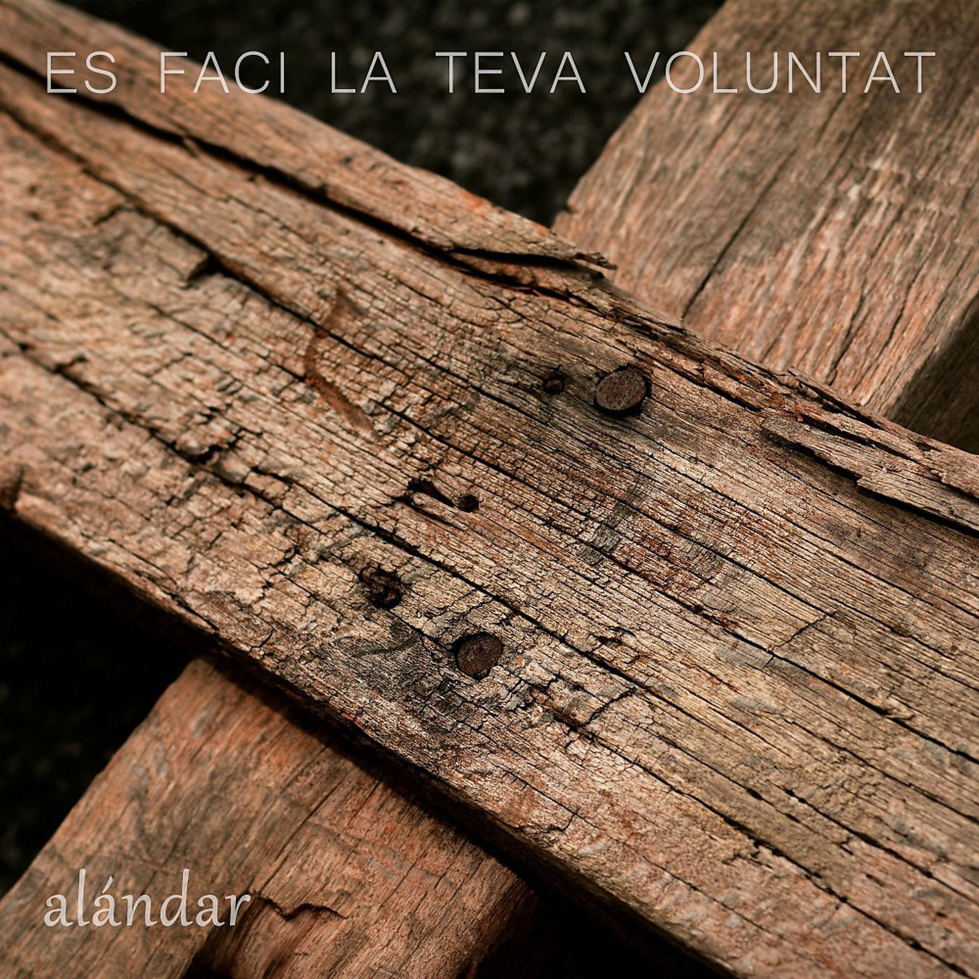 Постер альбома Es Faci La Teva Voluntat