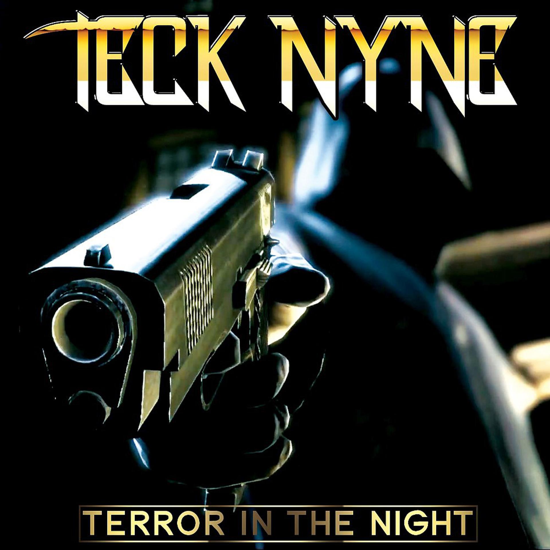 Постер альбома Terror in the Night
