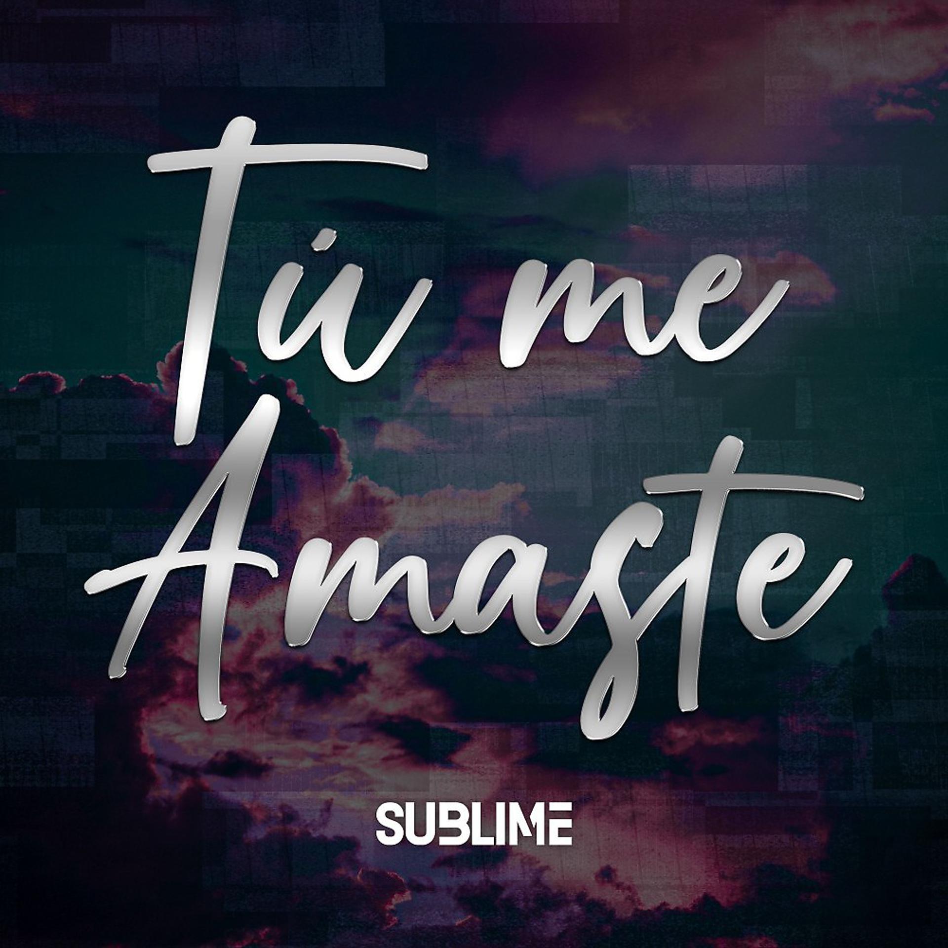 Постер альбома Tú Me Amaste