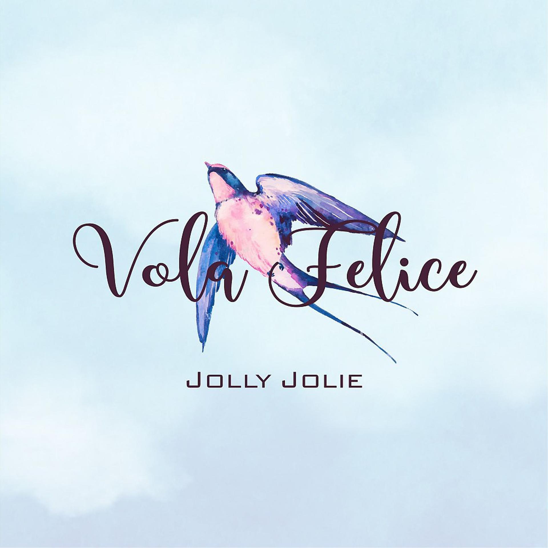 Постер альбома Vola felice