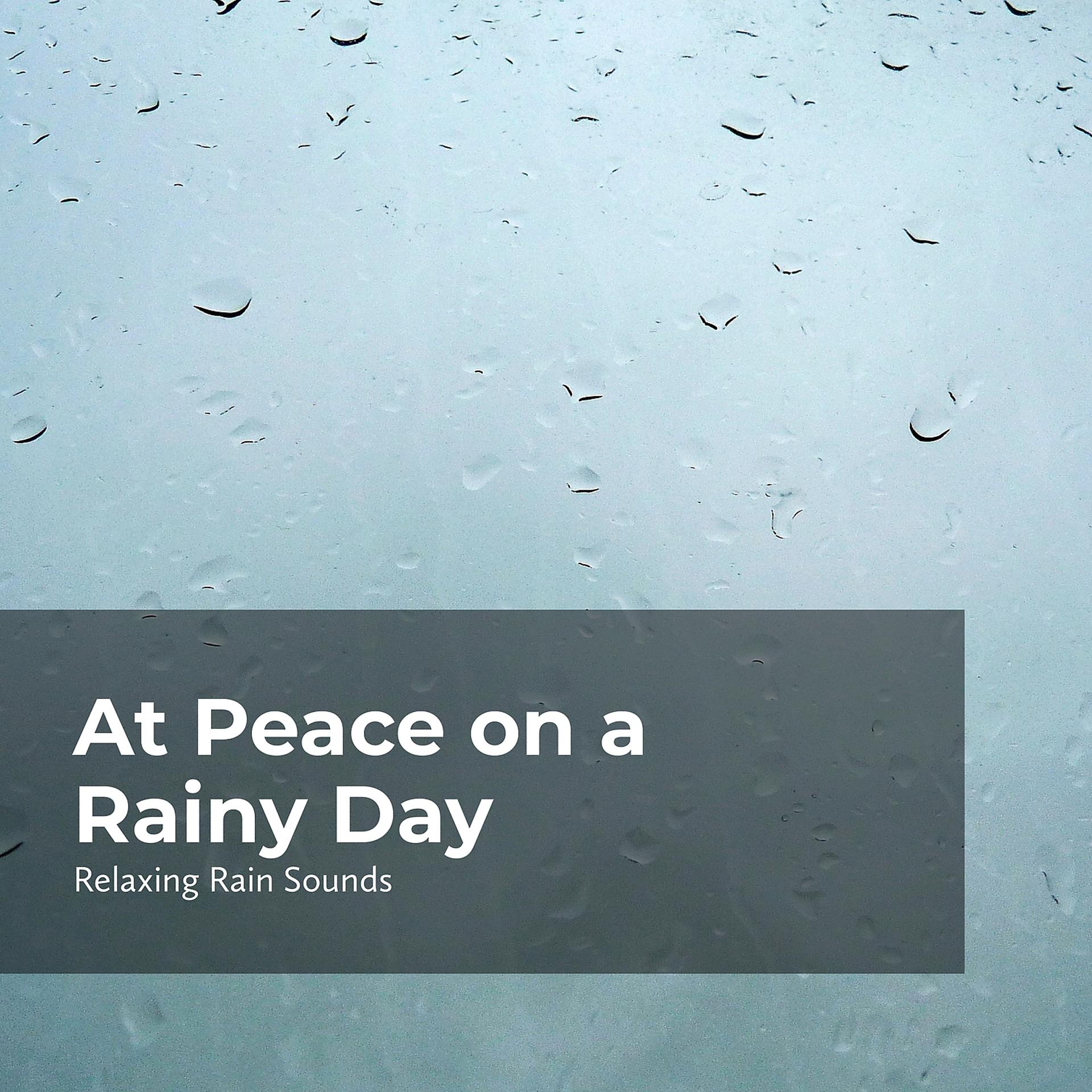 Постер альбома At Peace on a Rainy Day