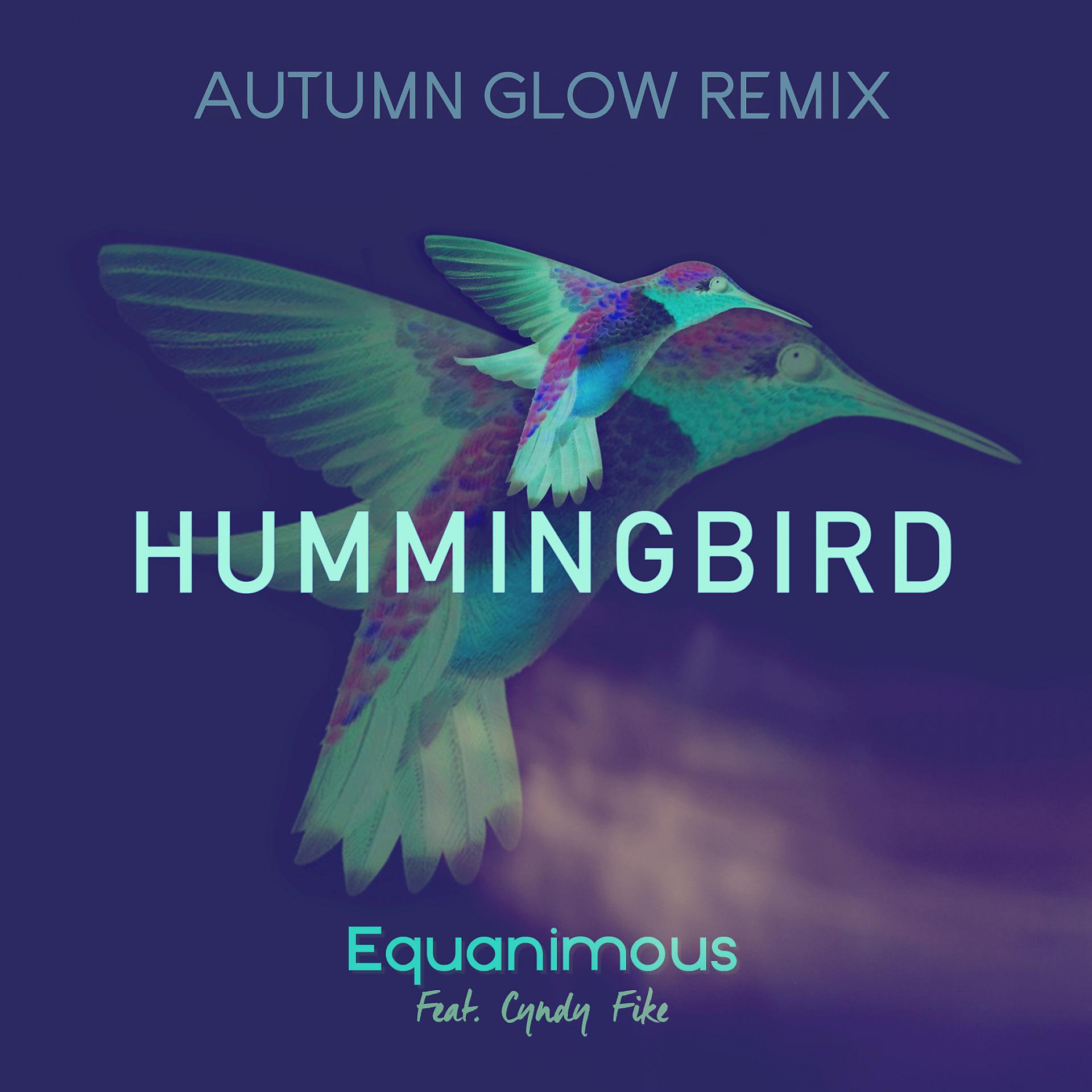 Постер альбома Hummingbird (feat. Cyndy Fike) [Autumn Glow Remix]