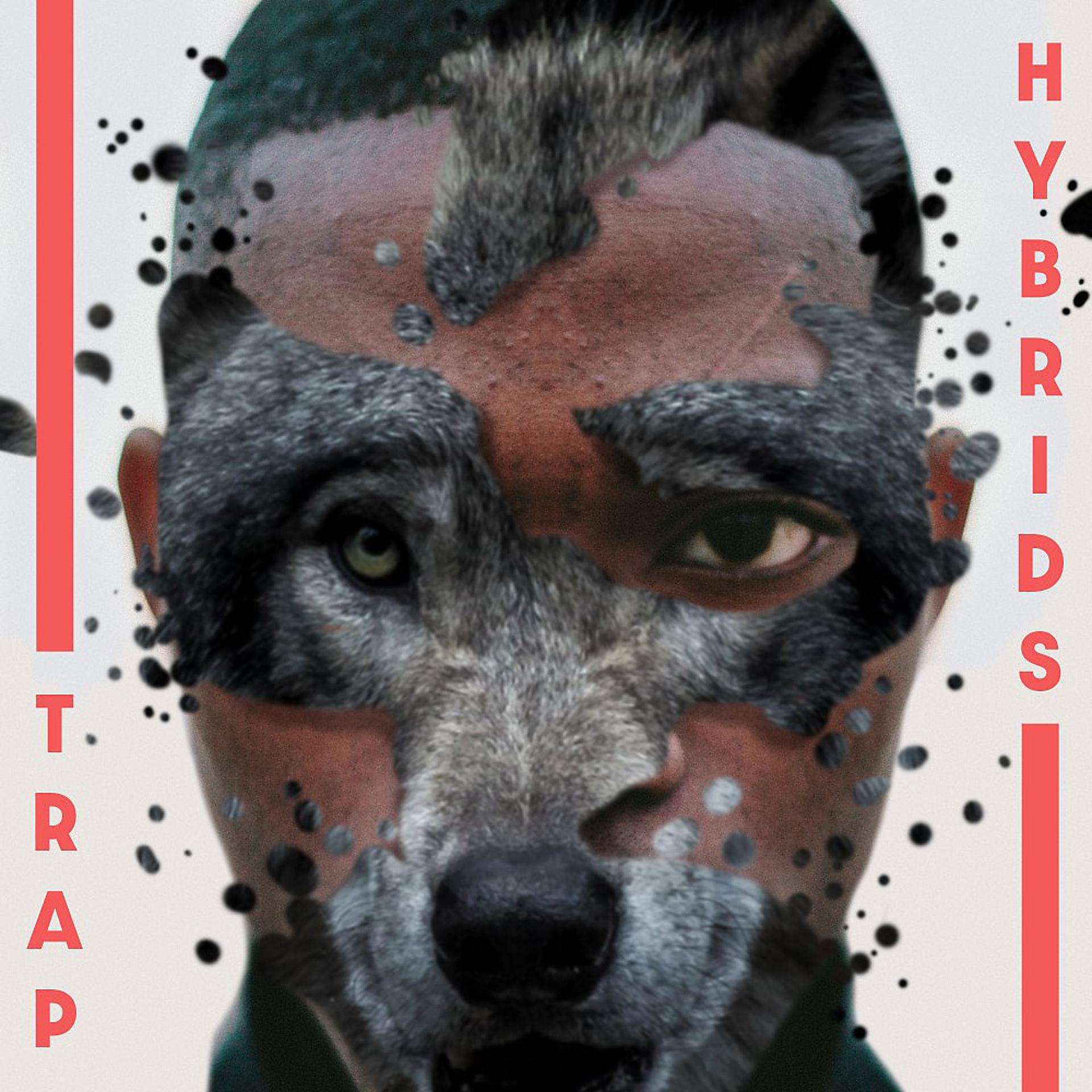 Постер альбома Trap Hybrids