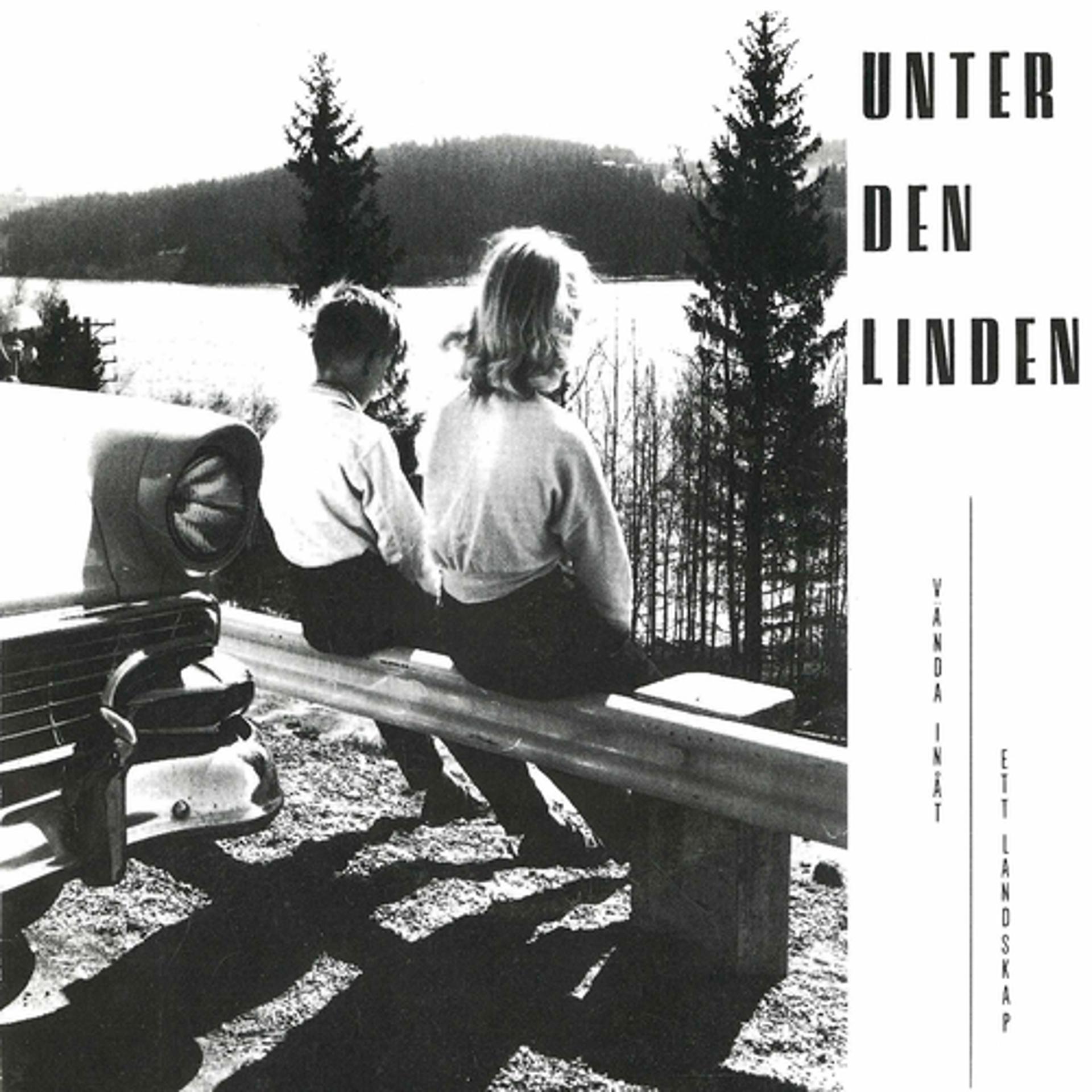 Постер альбома Vända inåt/Ett landskap