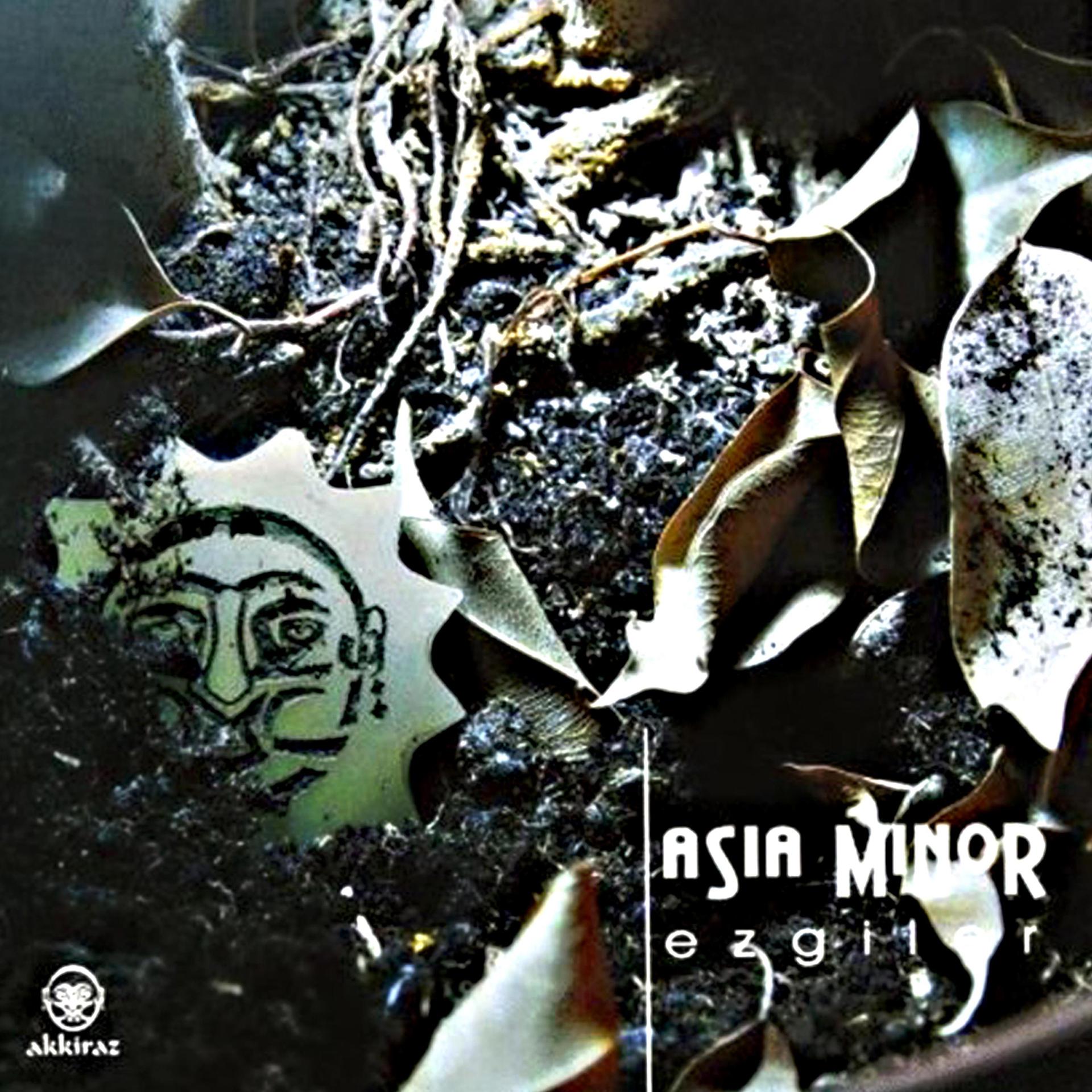 Постер альбома Asia Minor Ezgiler