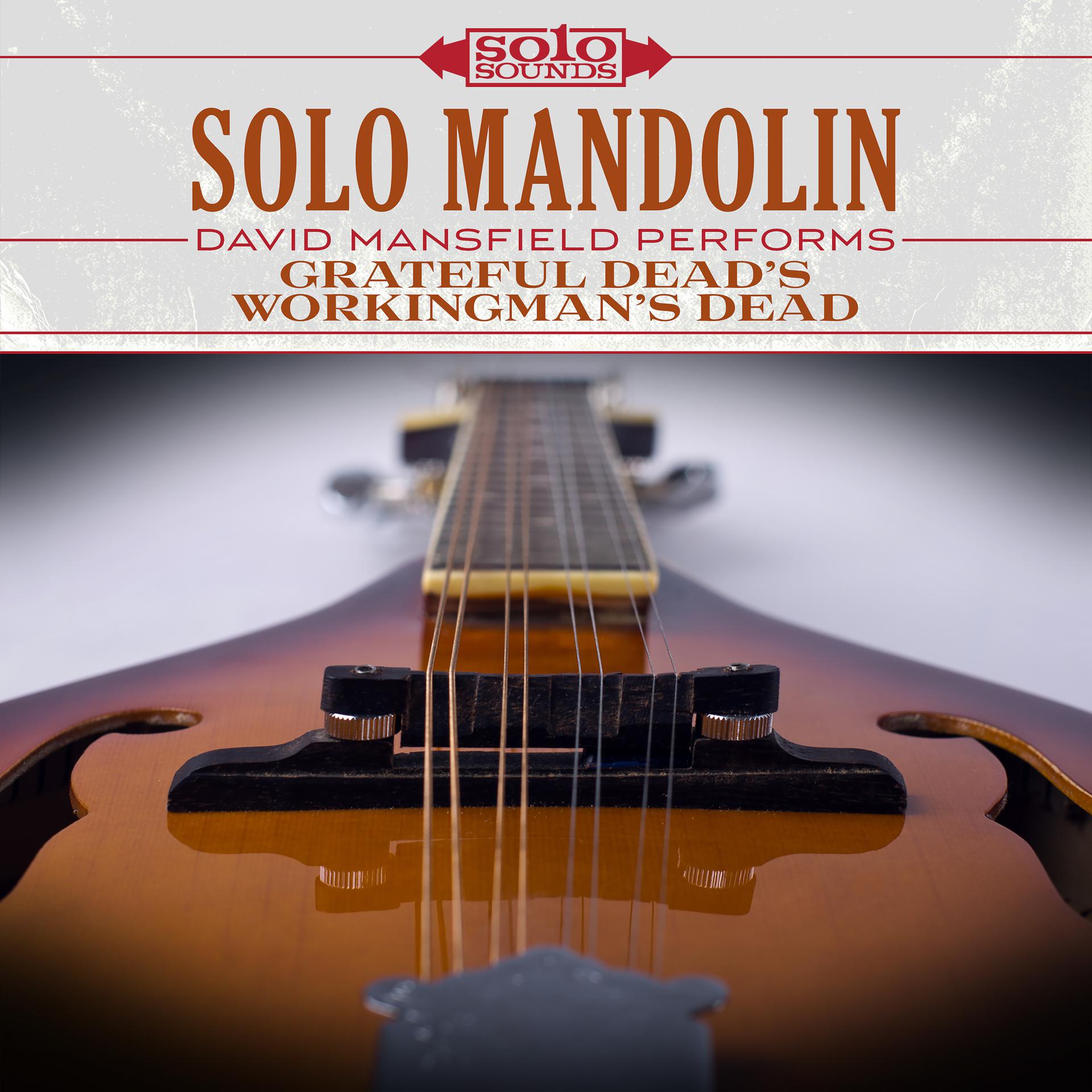 Постер альбома Grateful Dead Workingman's Dead: Solo Mandolin
