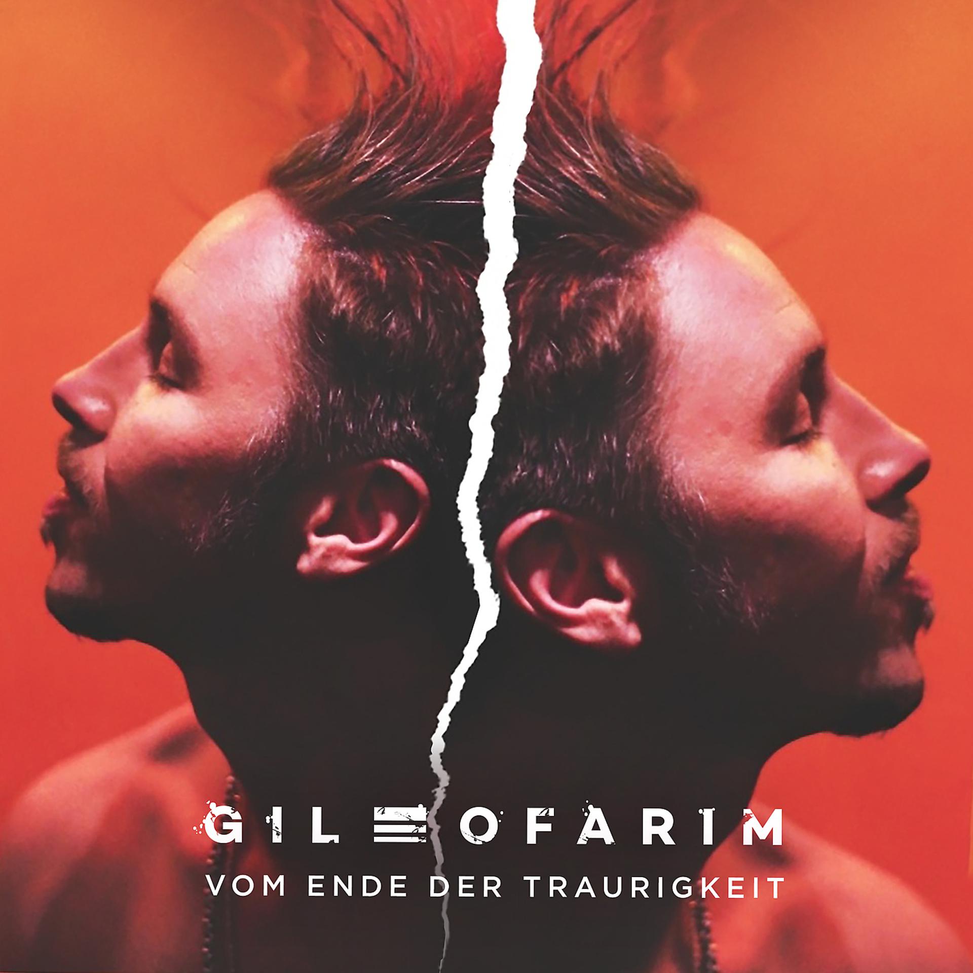 Постер альбома Vom Ende der Traurigkeit