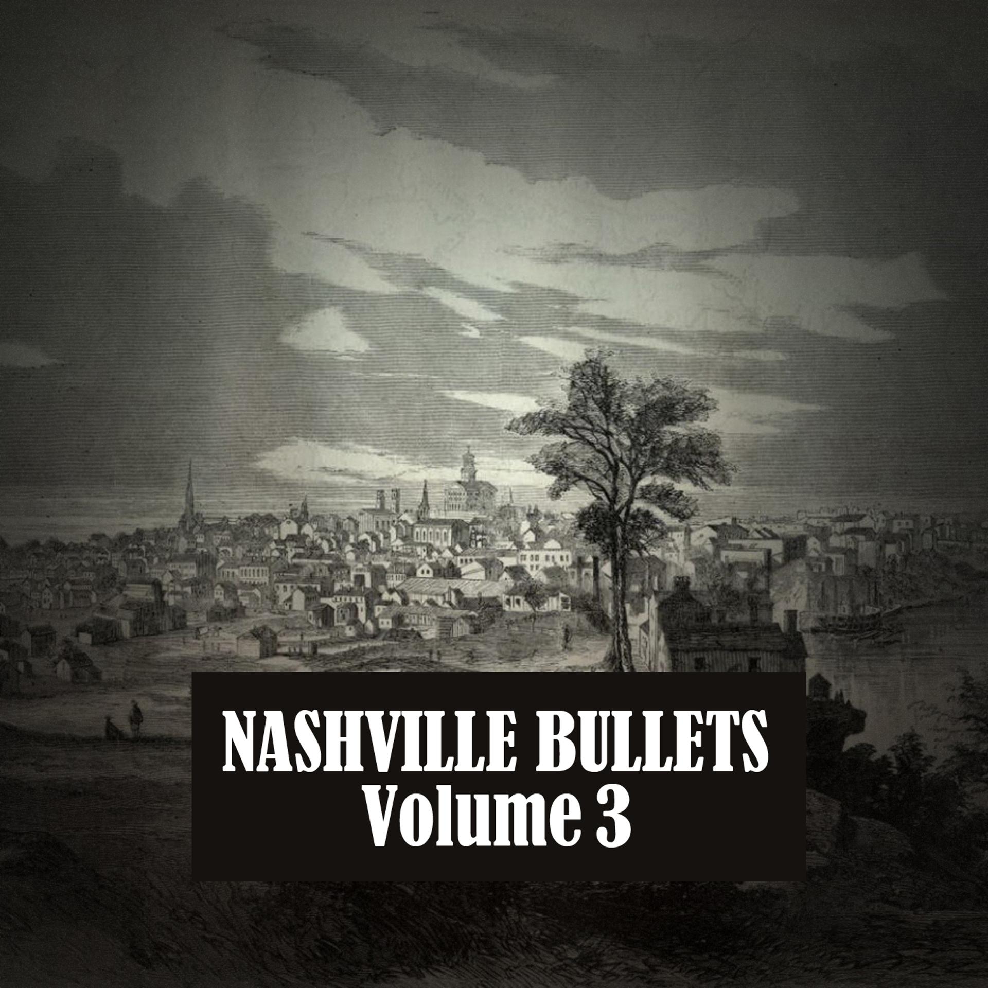 Постер альбома Nashville Bullets, Vol. 3