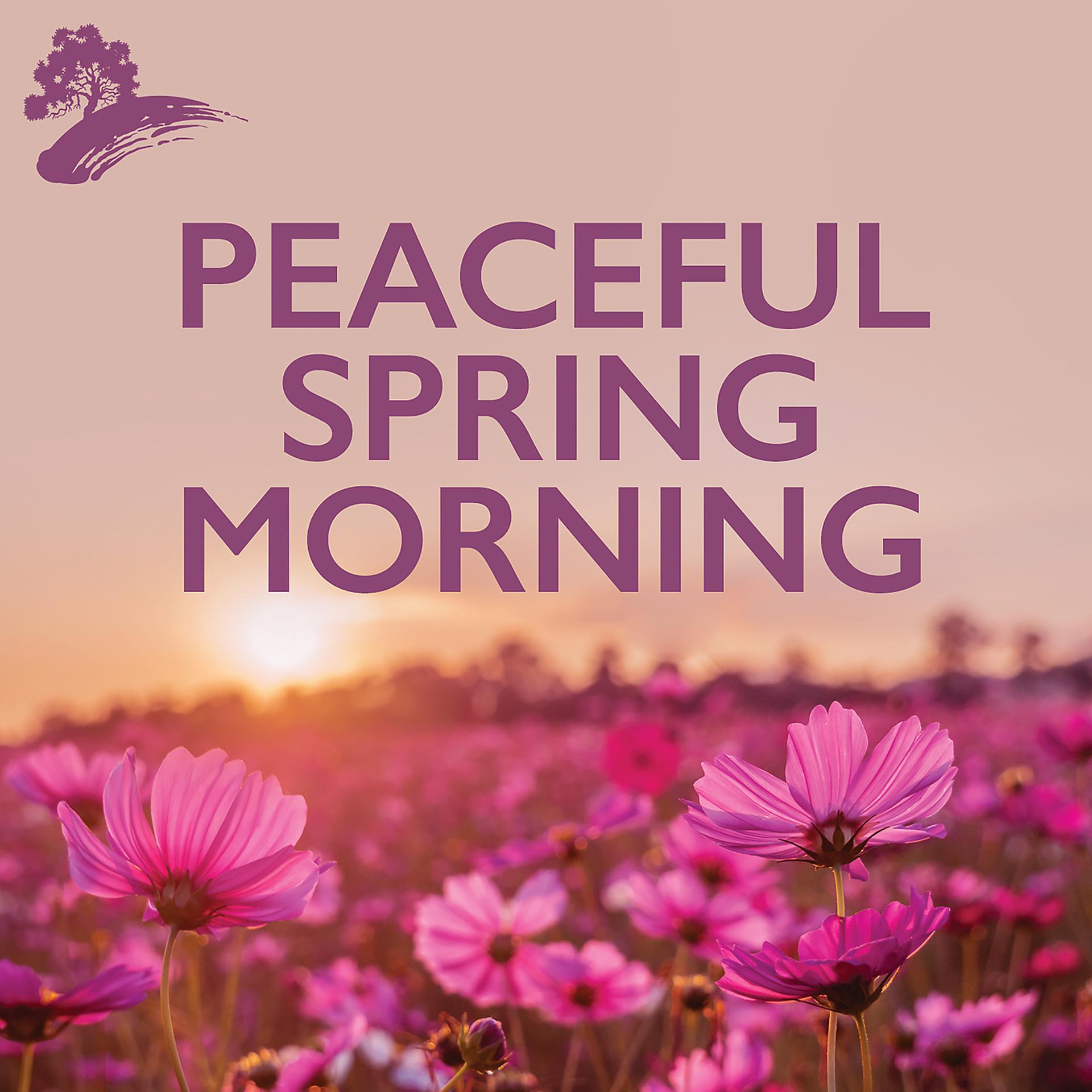 Постер альбома Peaceful Spring Mornings