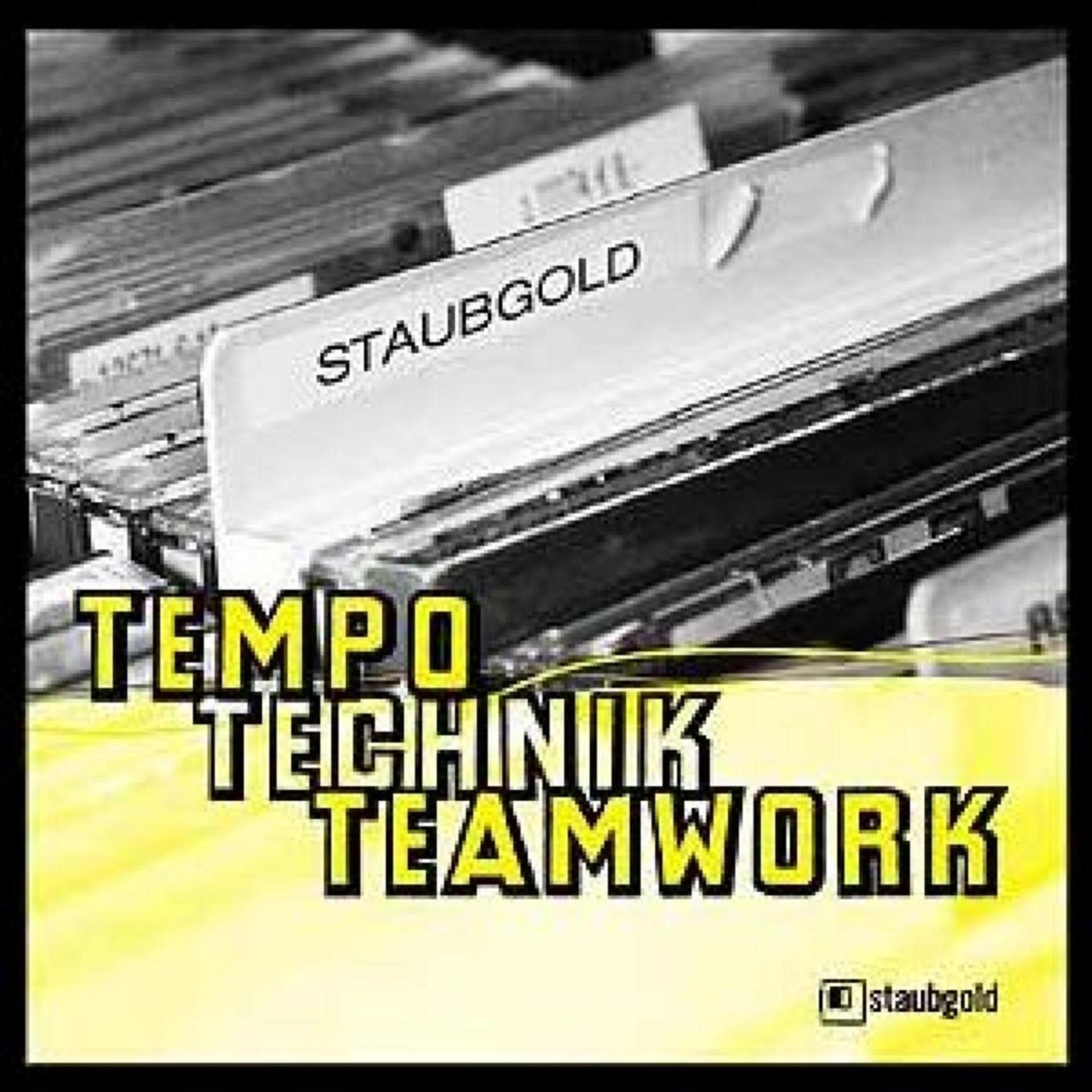 Постер альбома Tempo Technik Teamwork