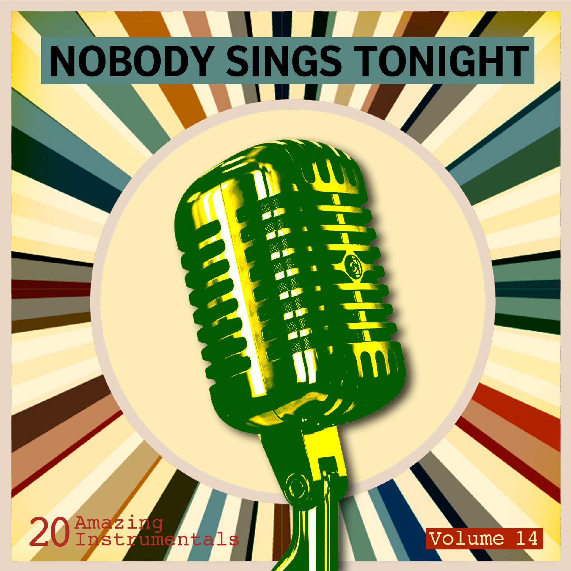 Постер альбома Nobody Sings Tonight: Great Instrumentals Vol. 14