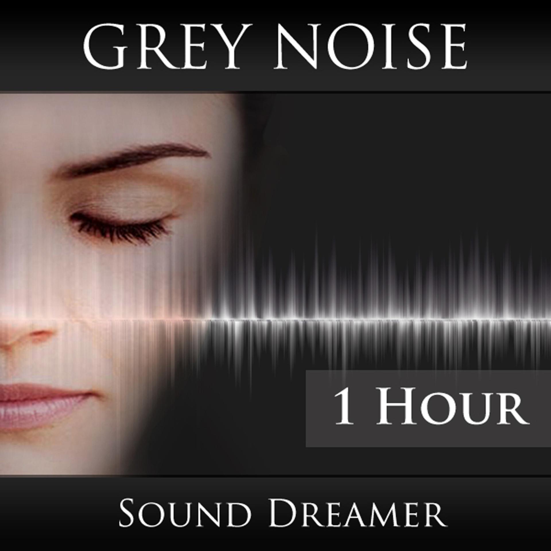 Постер альбома Grey Noise - 1 Hour