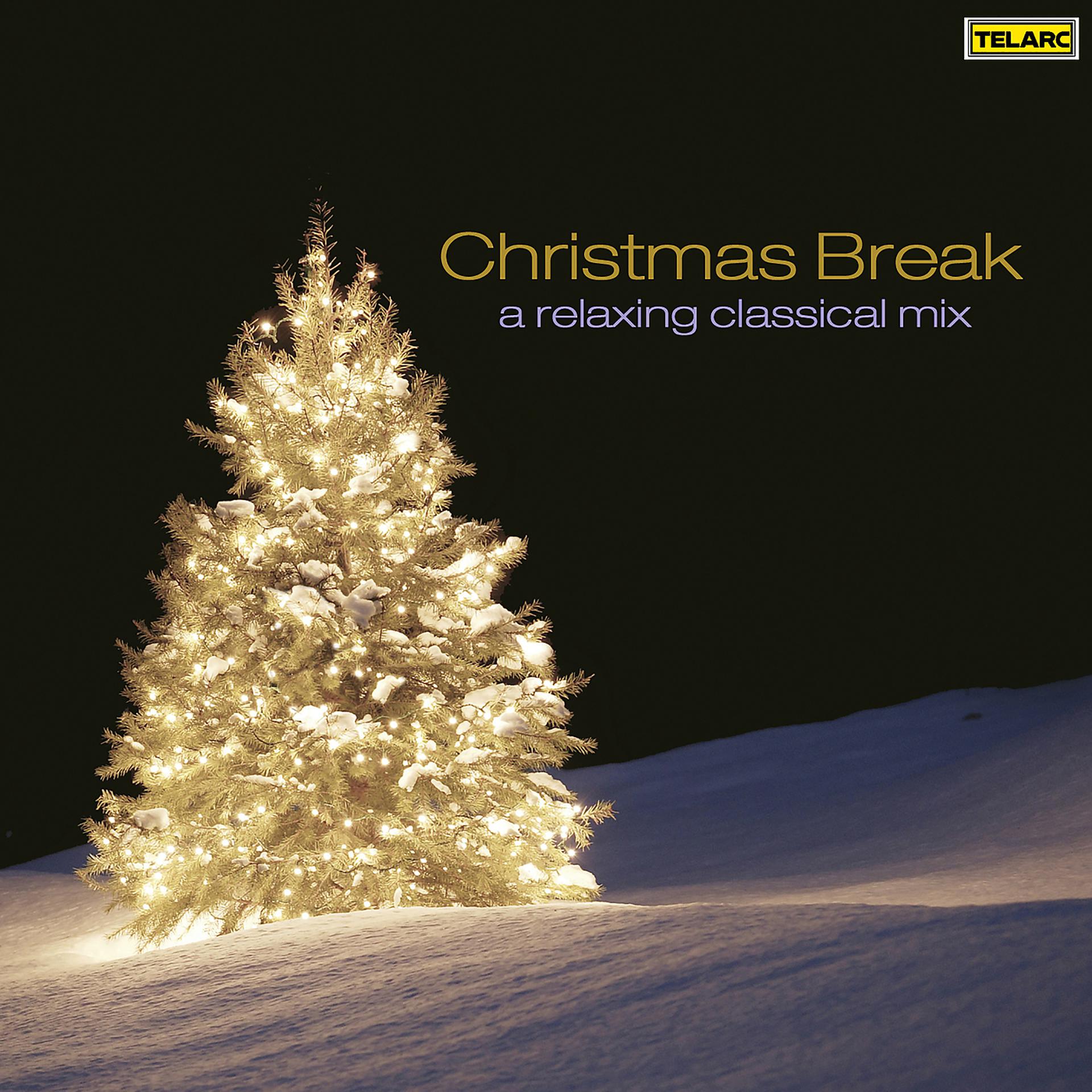 Постер альбома Christmas Break: A Relaxing Classical Mix