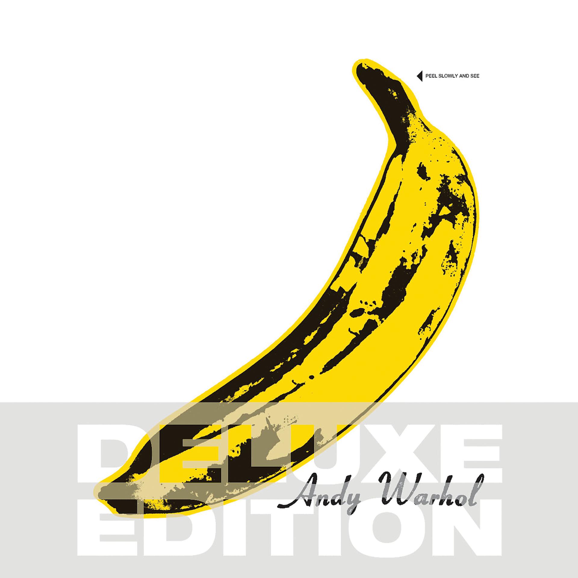 Постер альбома The Velvet Underground & Nico 45th Anniversary