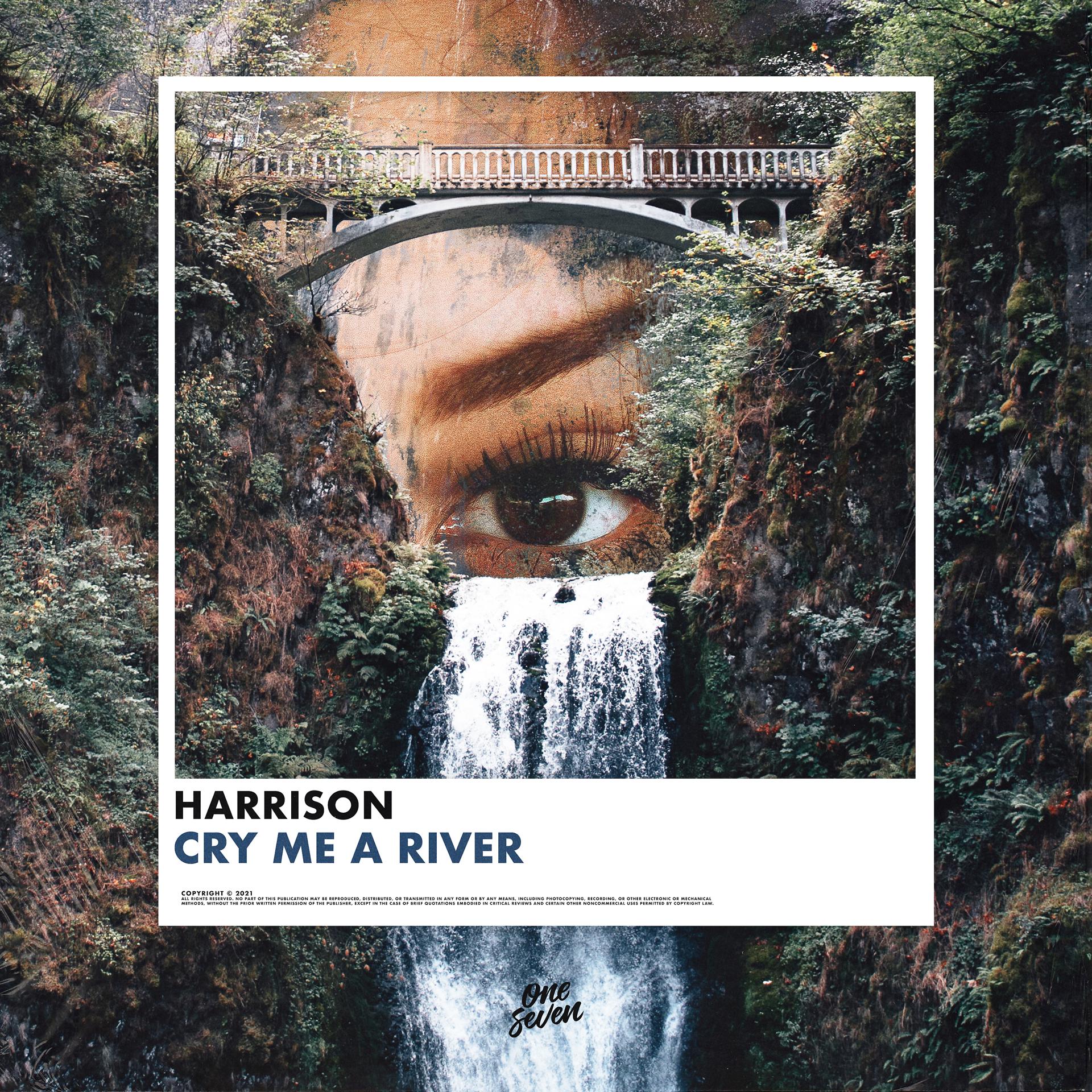 Постер альбома Cry Me A River
