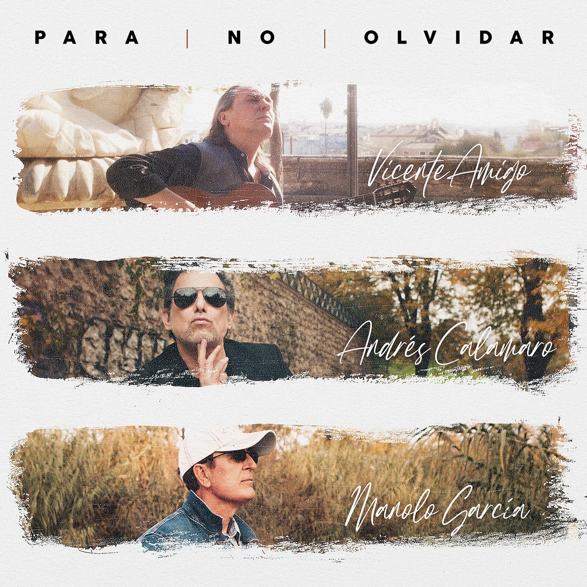 Постер альбома Para No Olvidar