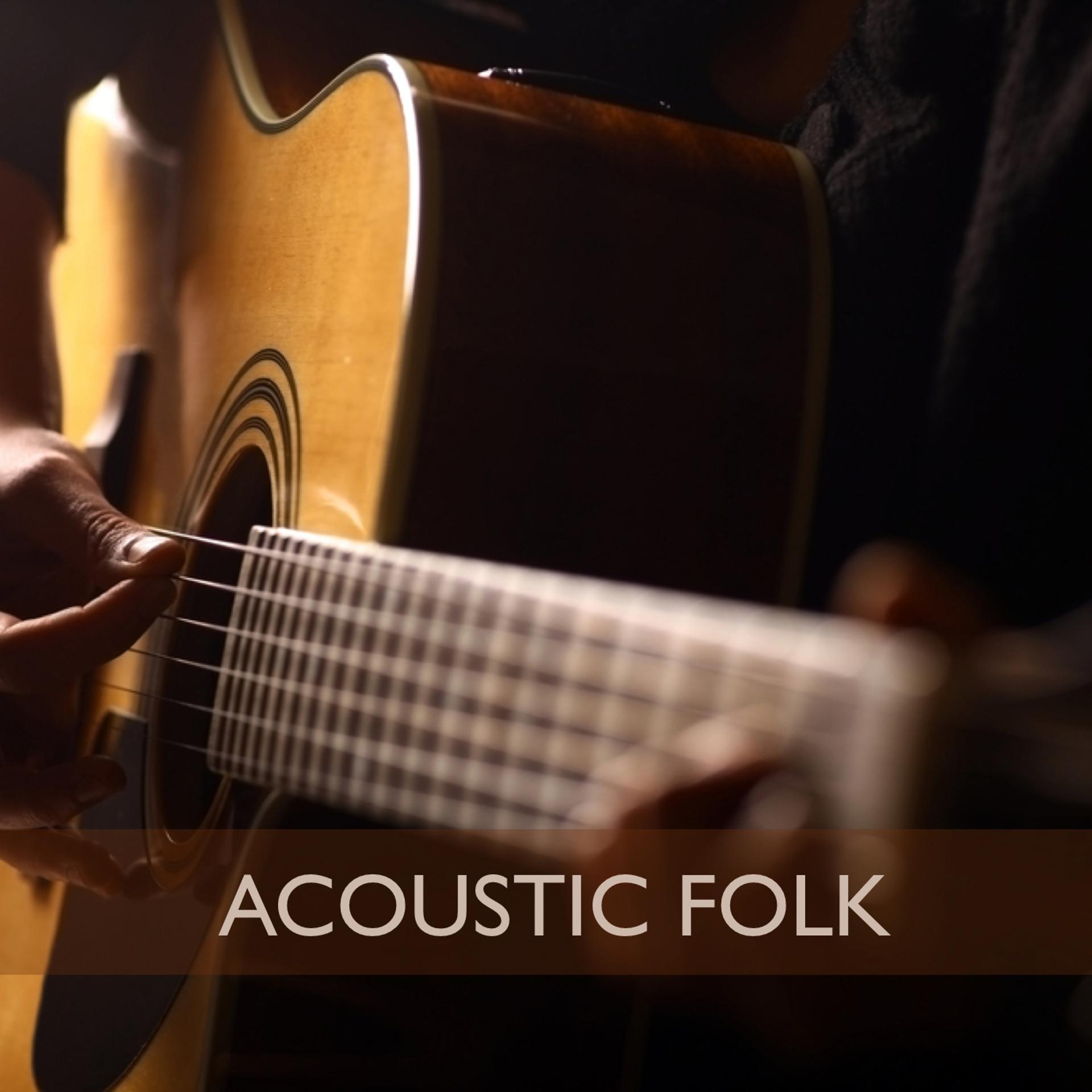 Постер альбома Acoustic Folk