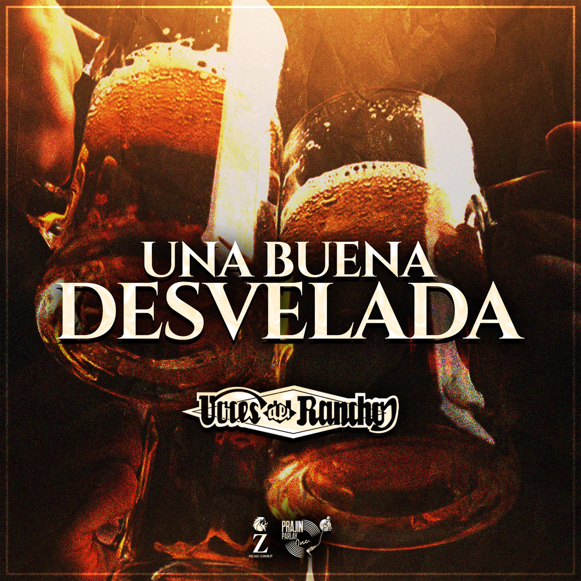 Постер альбома Una Buena Desvelada