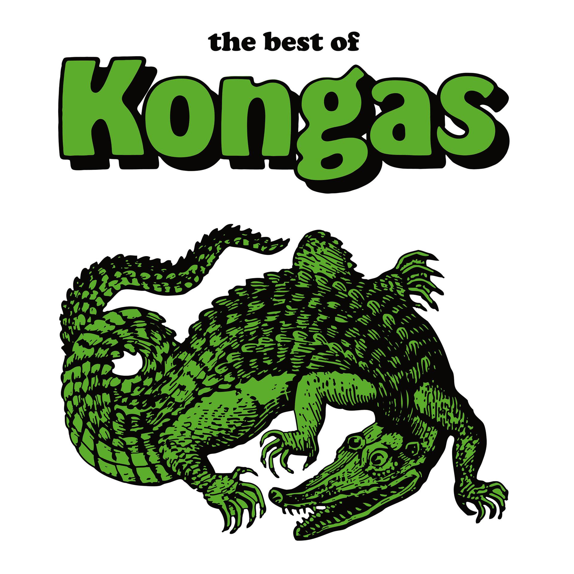 Постер альбома The Best Of Kongas