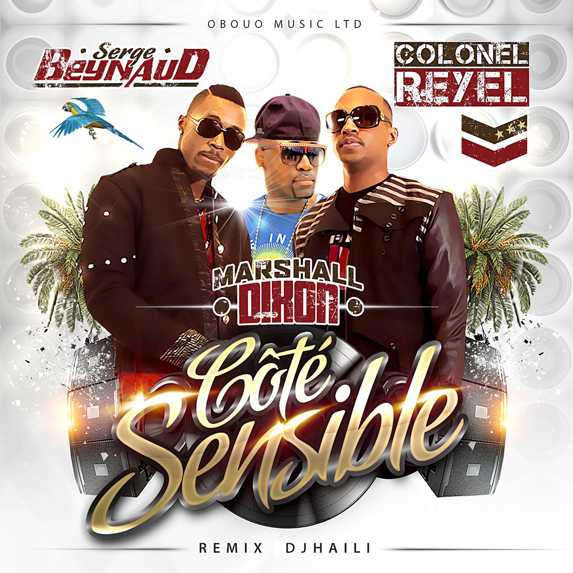 Постер альбома Côté Sensible Remix (feat. Colonel Reyel & Marshall Dixon)