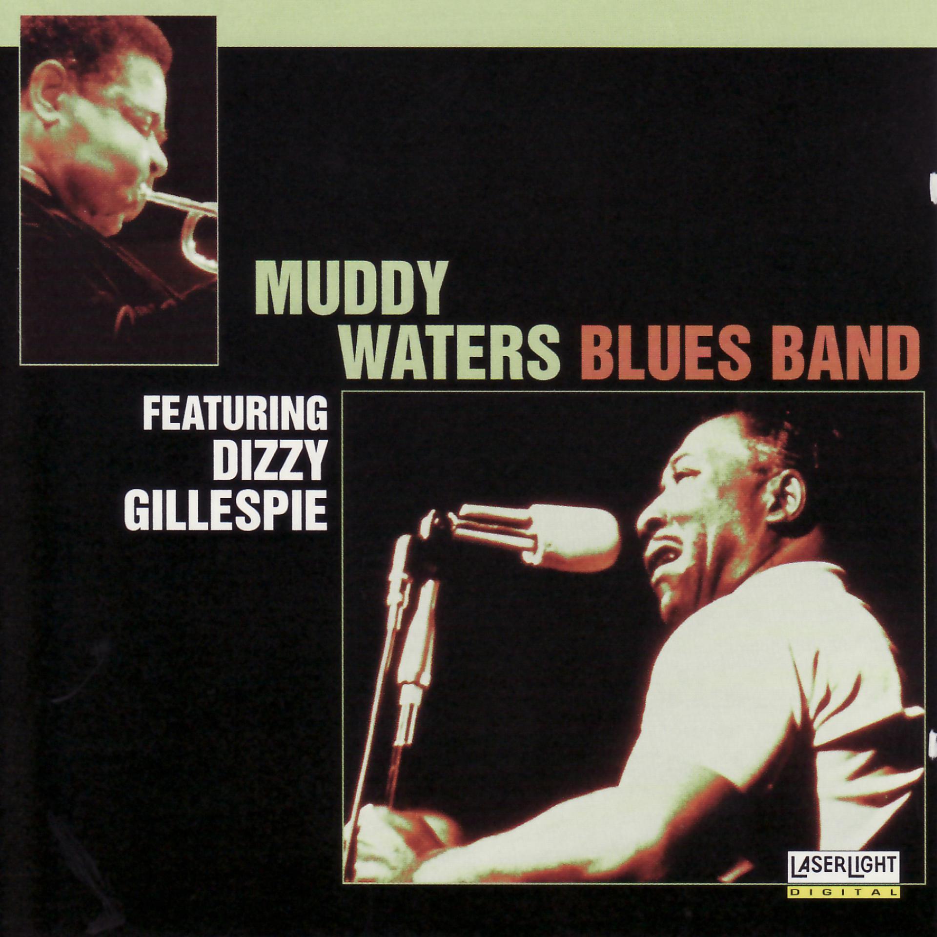 Постер альбома Muddy Waters Blues Band