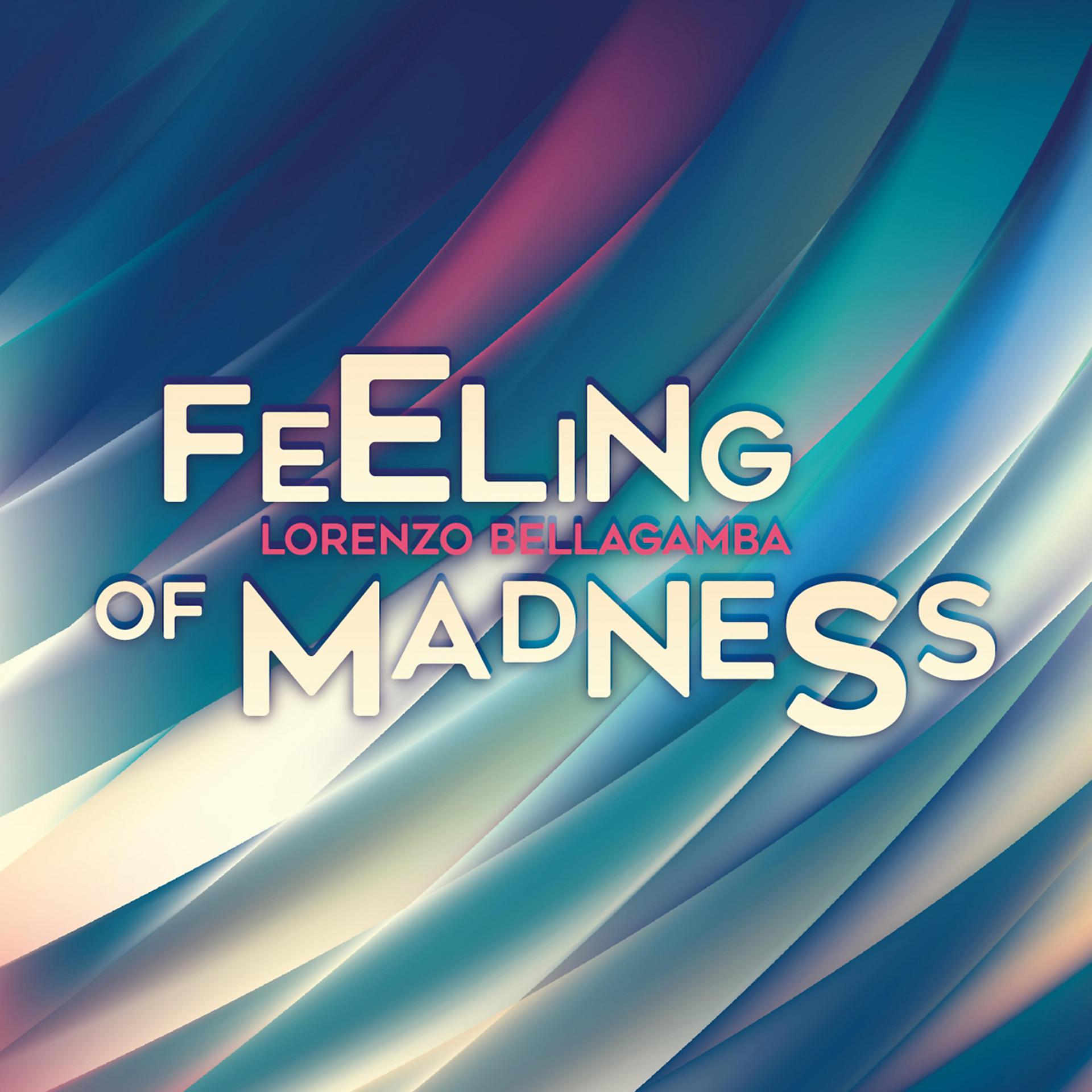 Постер альбома Feeling of Madness