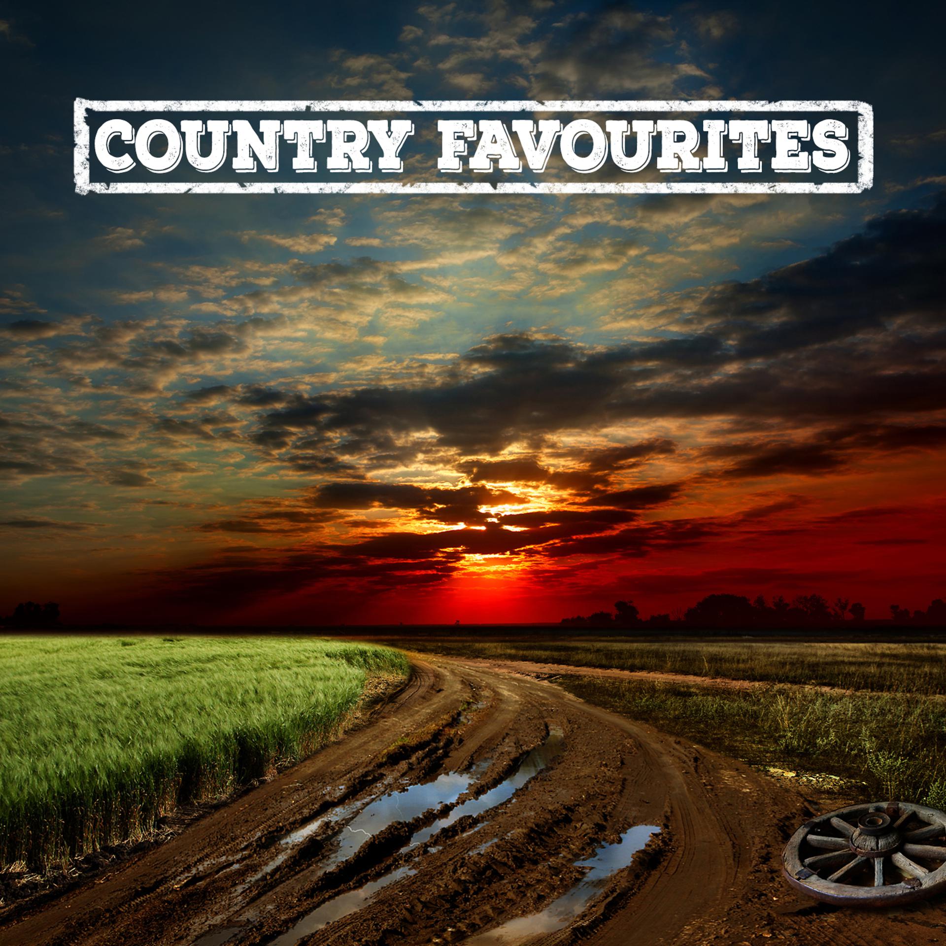 Постер альбома Country Favourites