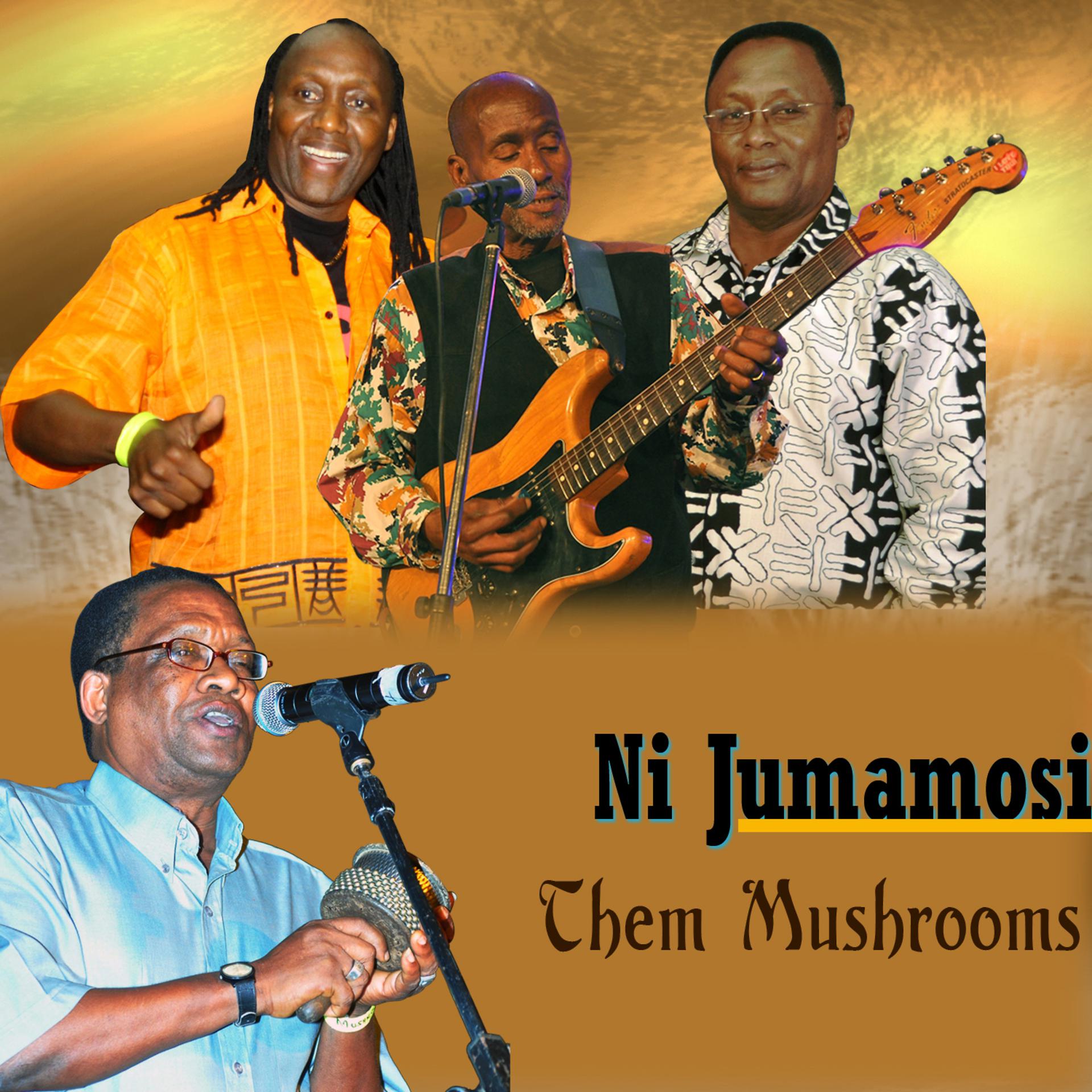 Постер альбома Ni Jumamosi