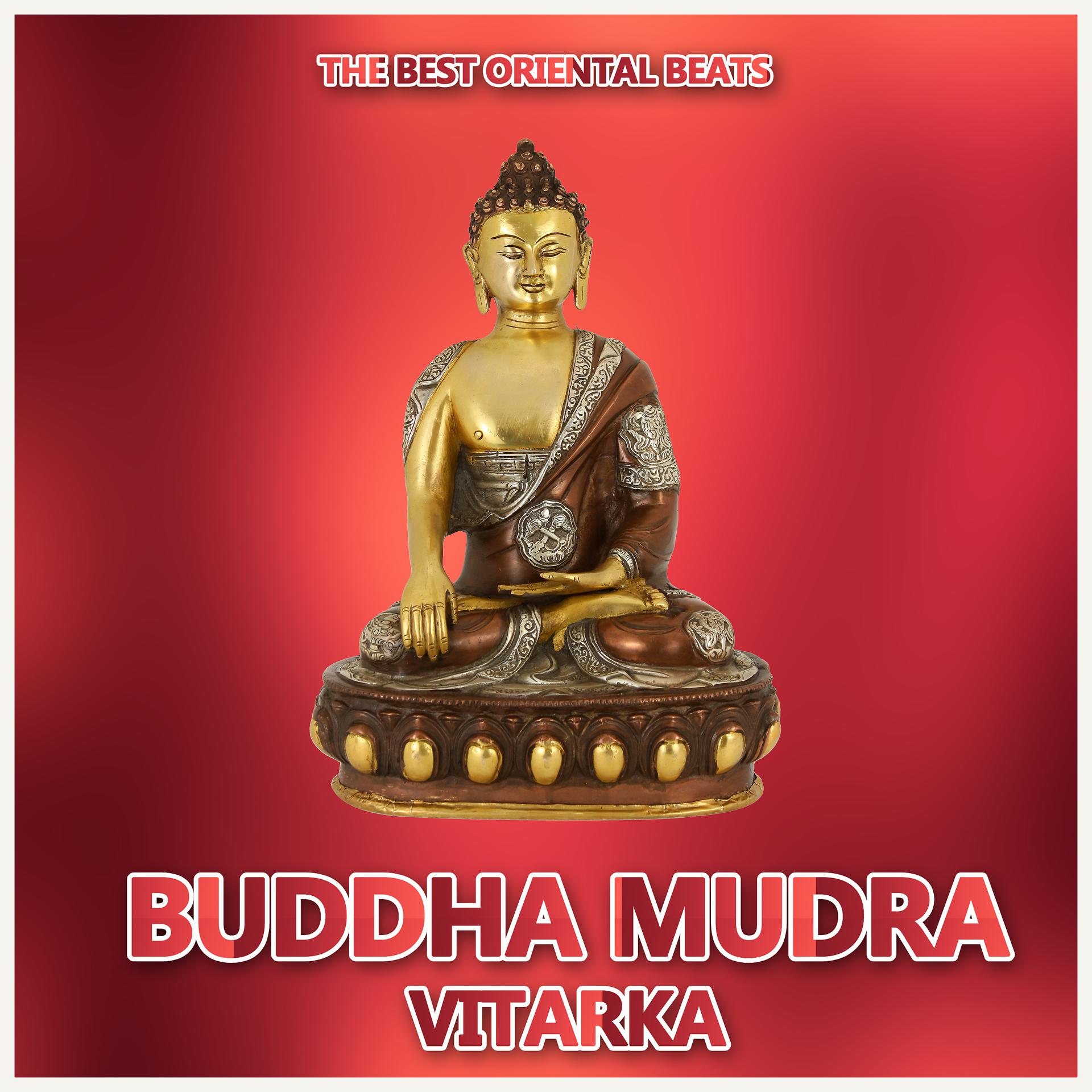 Постер альбома Buddha Mudra (Bhumispharsa)