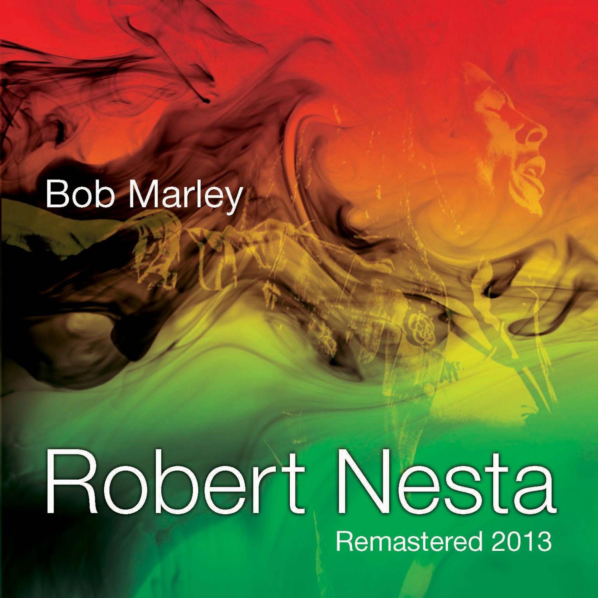 Постер альбома Robert Nesta