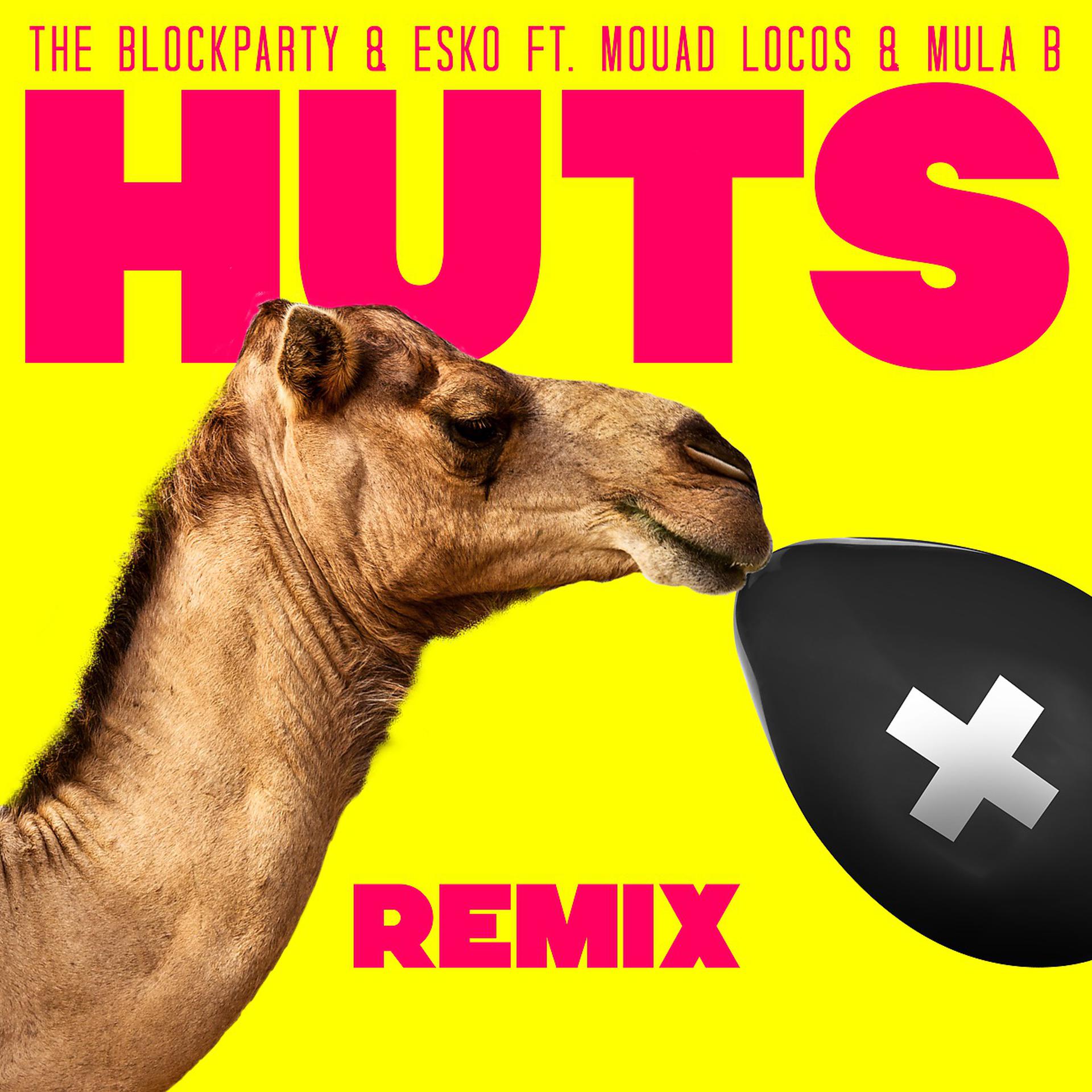 Постер альбома HUTS Remix