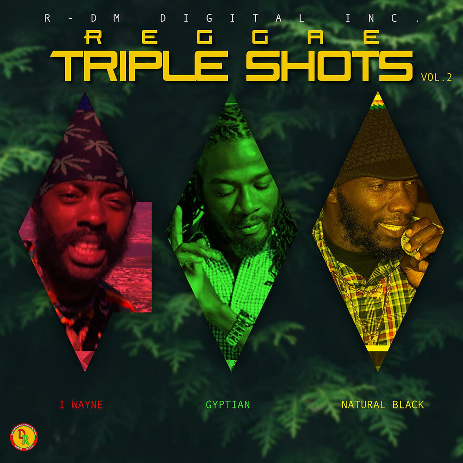 Постер альбома Reggae Triple Shots, Vol. 2