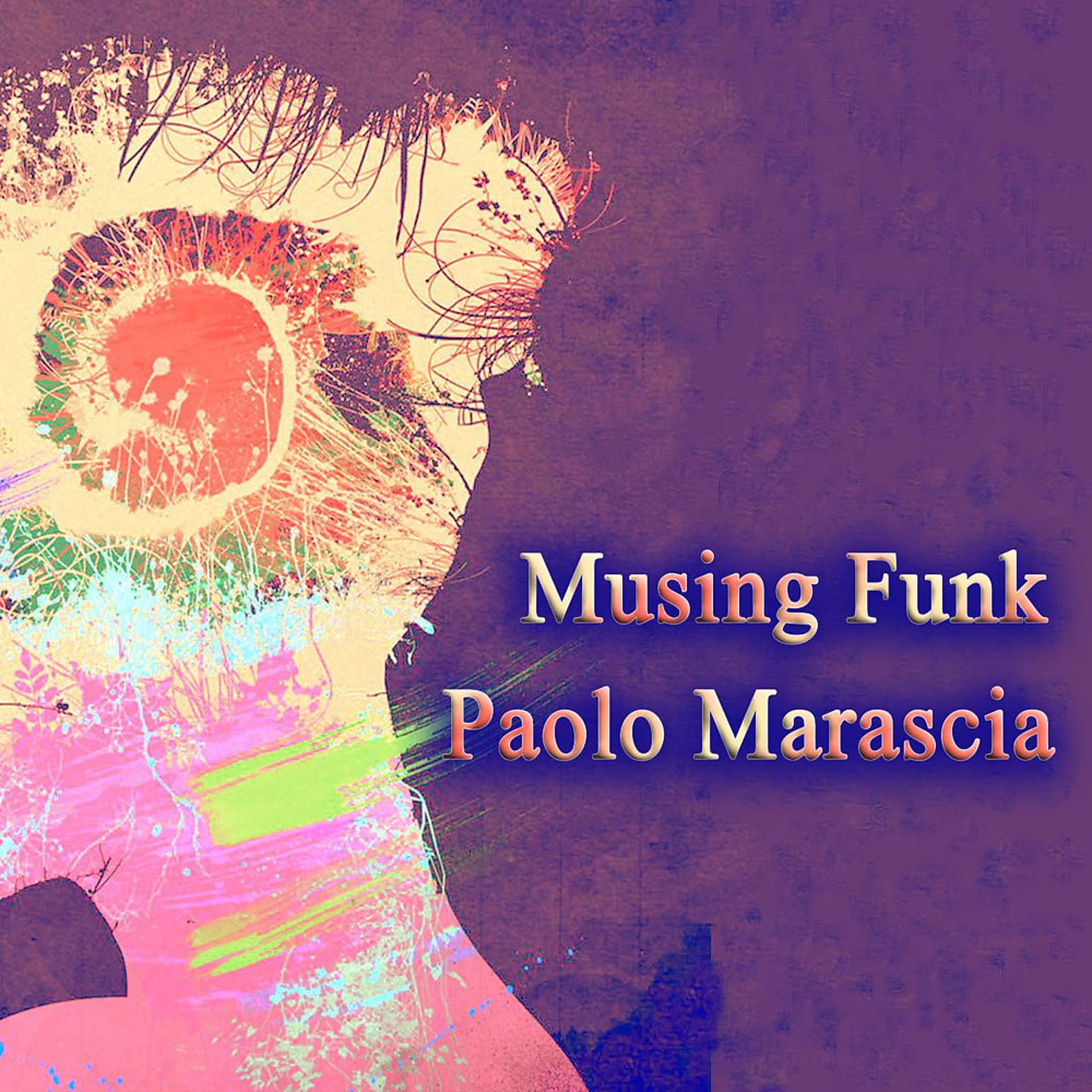 Постер альбома Musing Funk