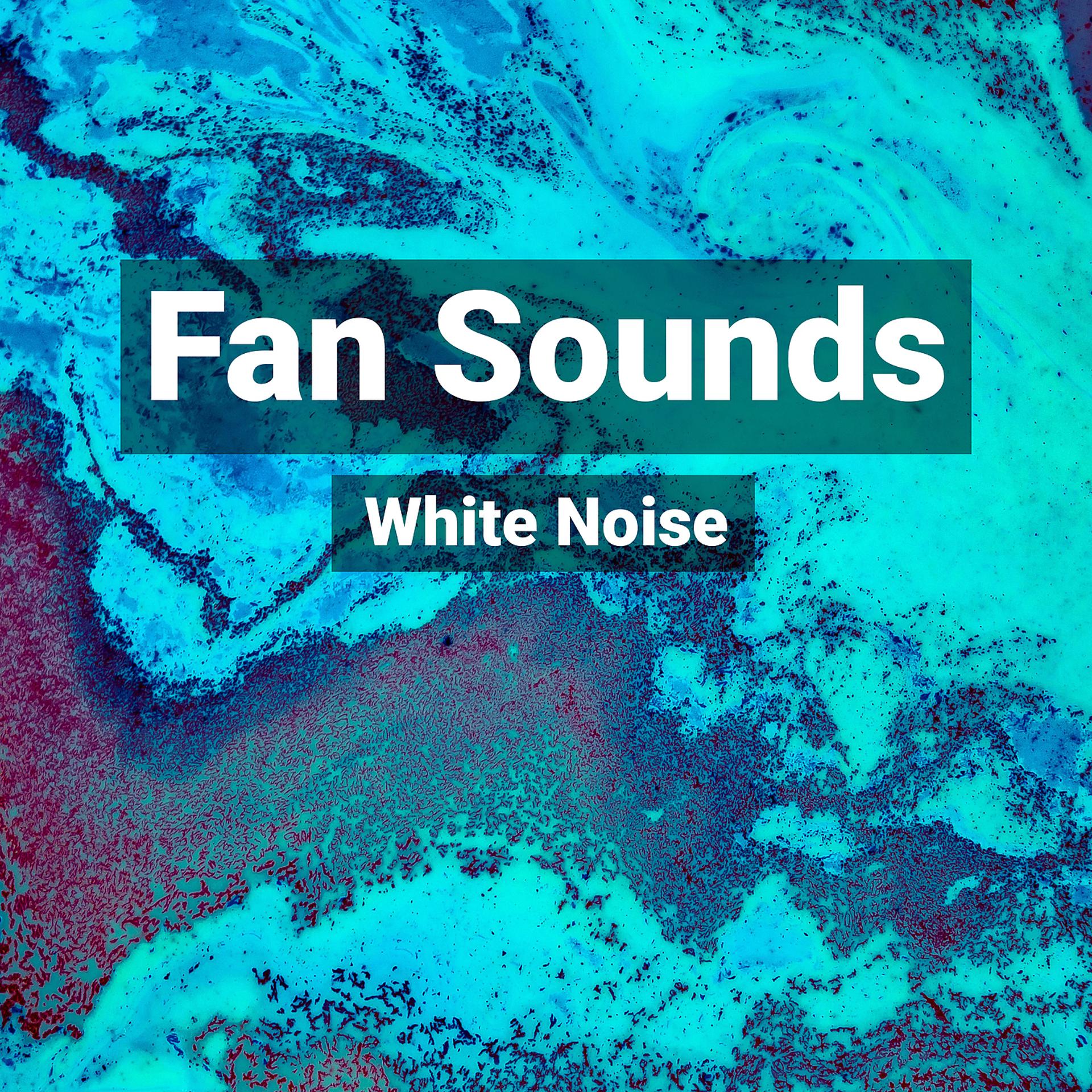 Постер альбома Fan Sounds and White Noise