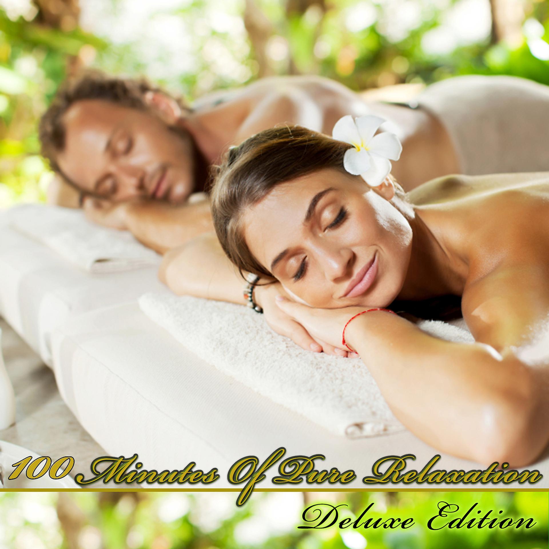 Постер альбома 100 Minutes of Pure Relaxation - Deluxe Edition