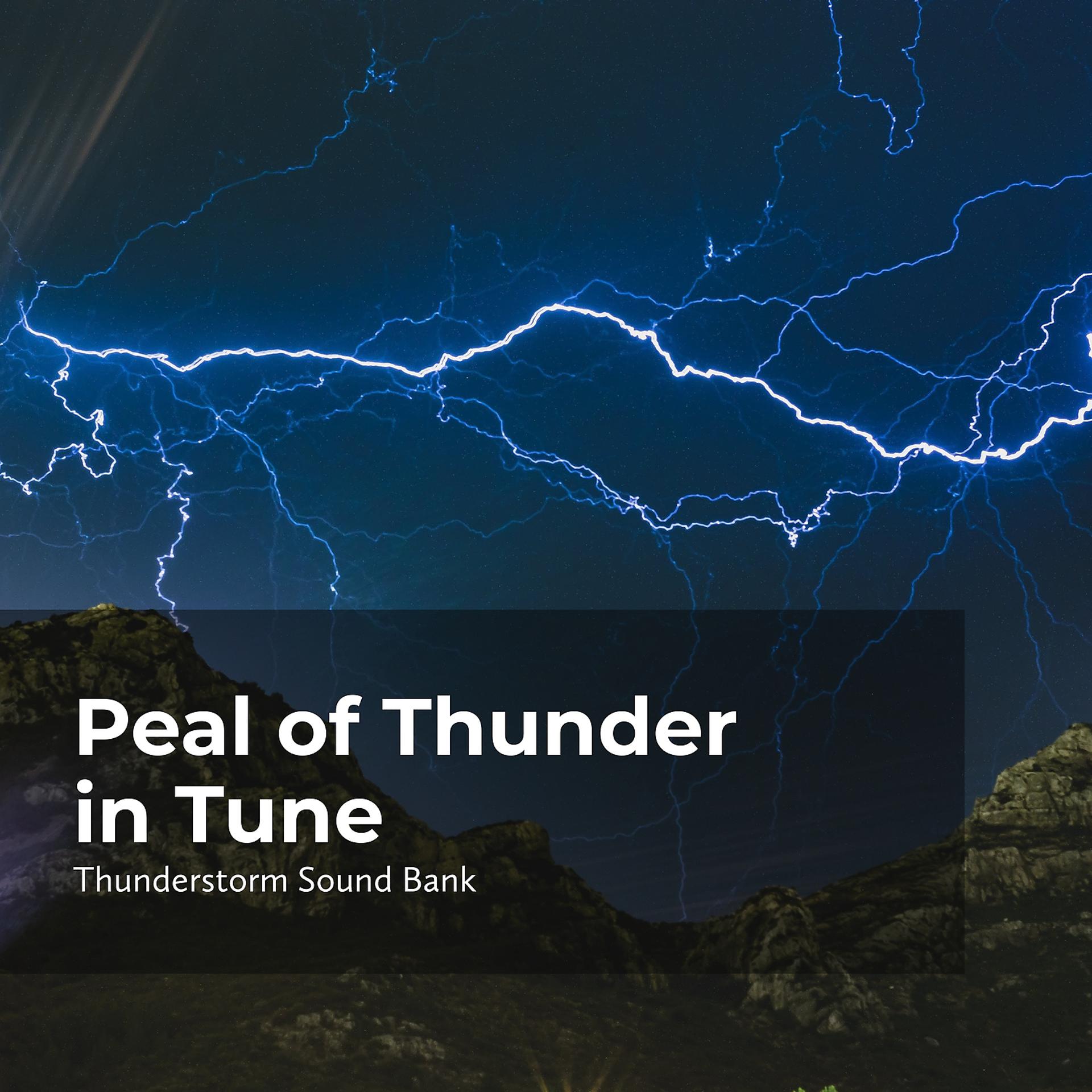 Постер альбома Peal of Thunder in Tune