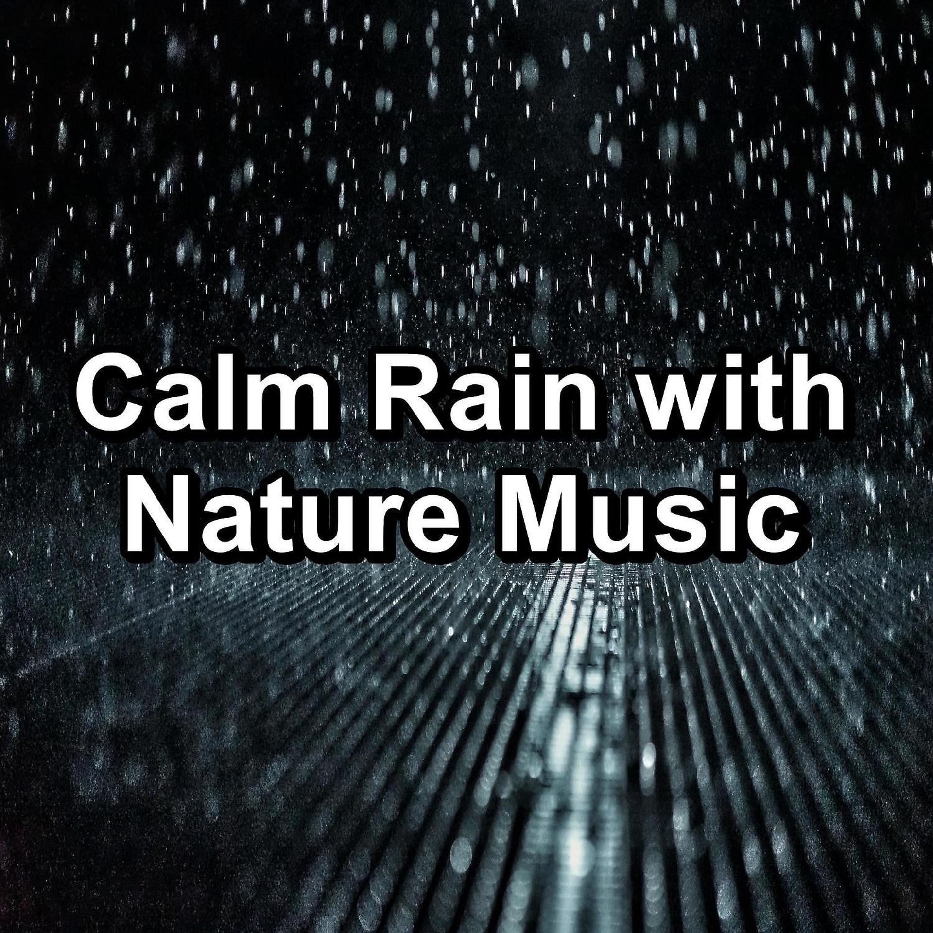 Постер альбома Calm Rain with Nature Music