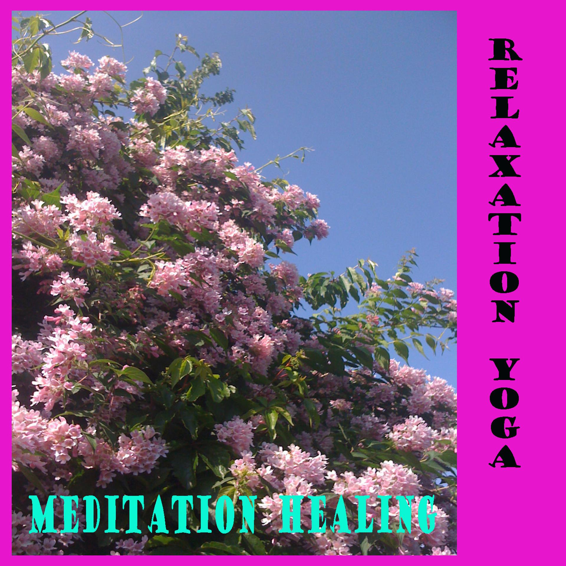Постер альбома Relaxation yoga meditation healing therapy spa mantra
